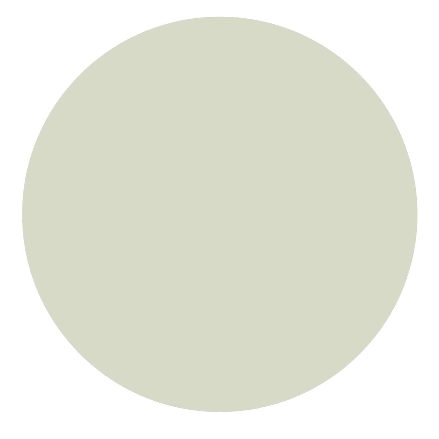 A dark green circular shape on a black background.