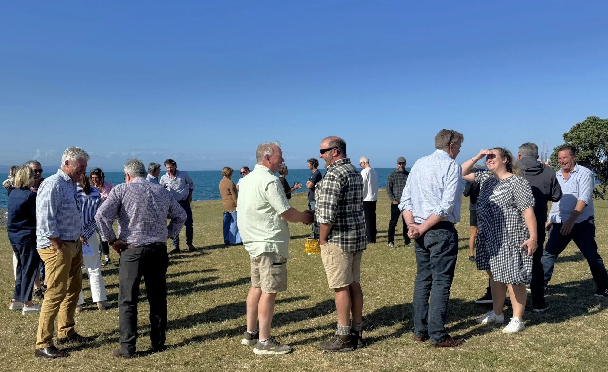 Group of people conversing and smiling on a grassy area near the ocean under a clear blue sky.