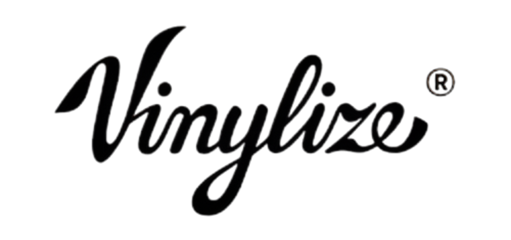 The image features a stylized logo with the word 'Vintly' in a cursive font, black in color, with red and blue lighting effects.