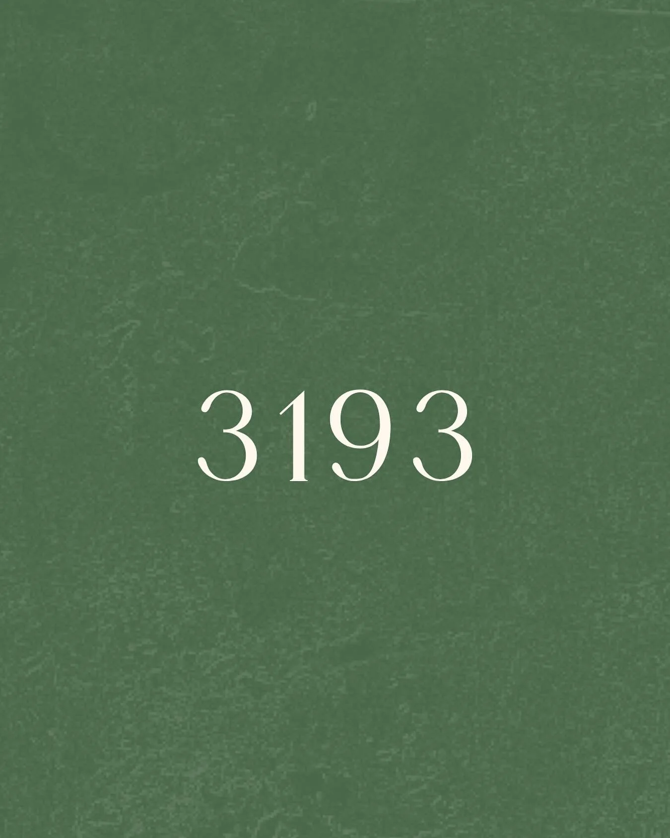 81 Bluff Road, Black Rock 💆🏻&zwj;♀️