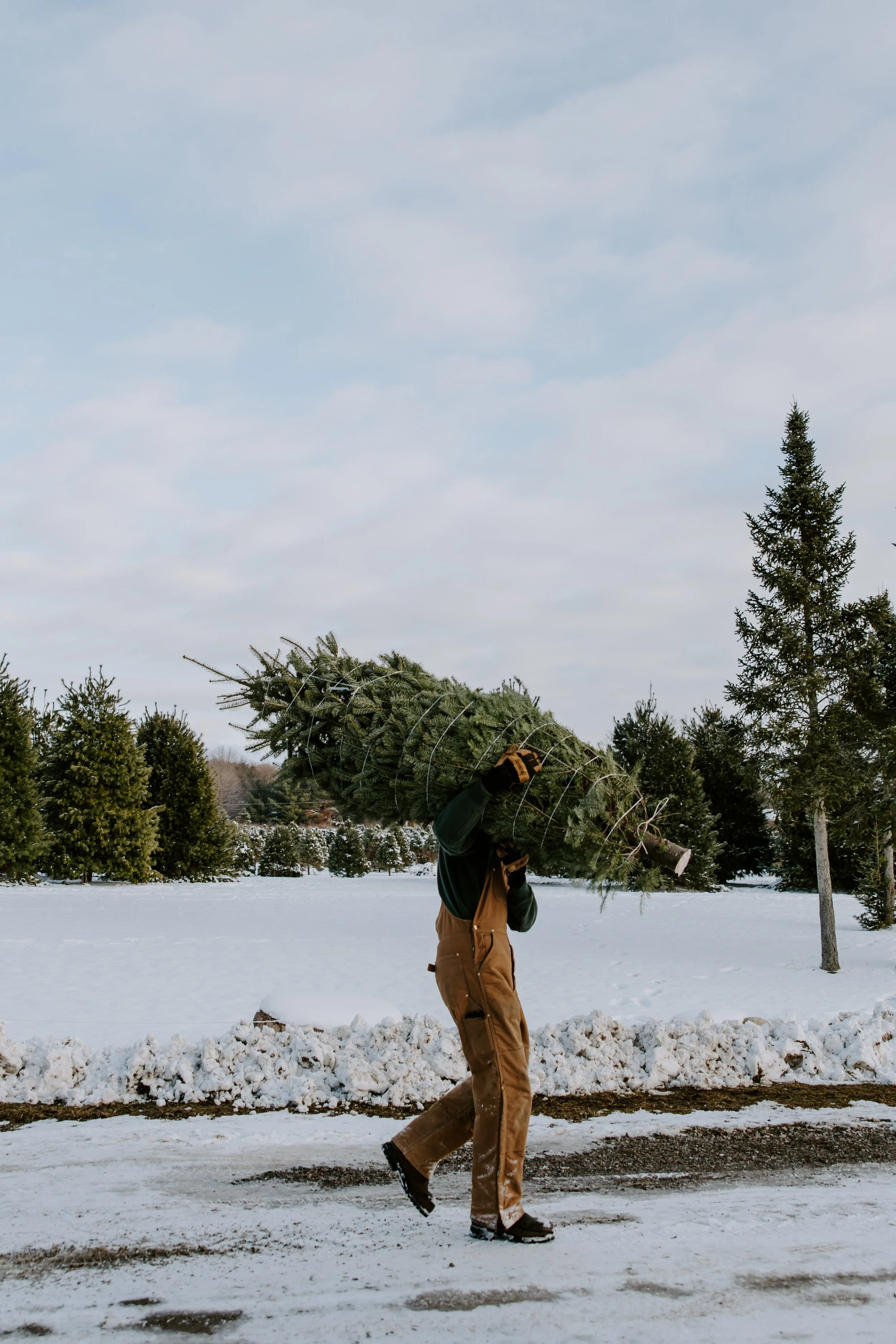 2025ChristmasTreeFarm-41 - Copy.jpg