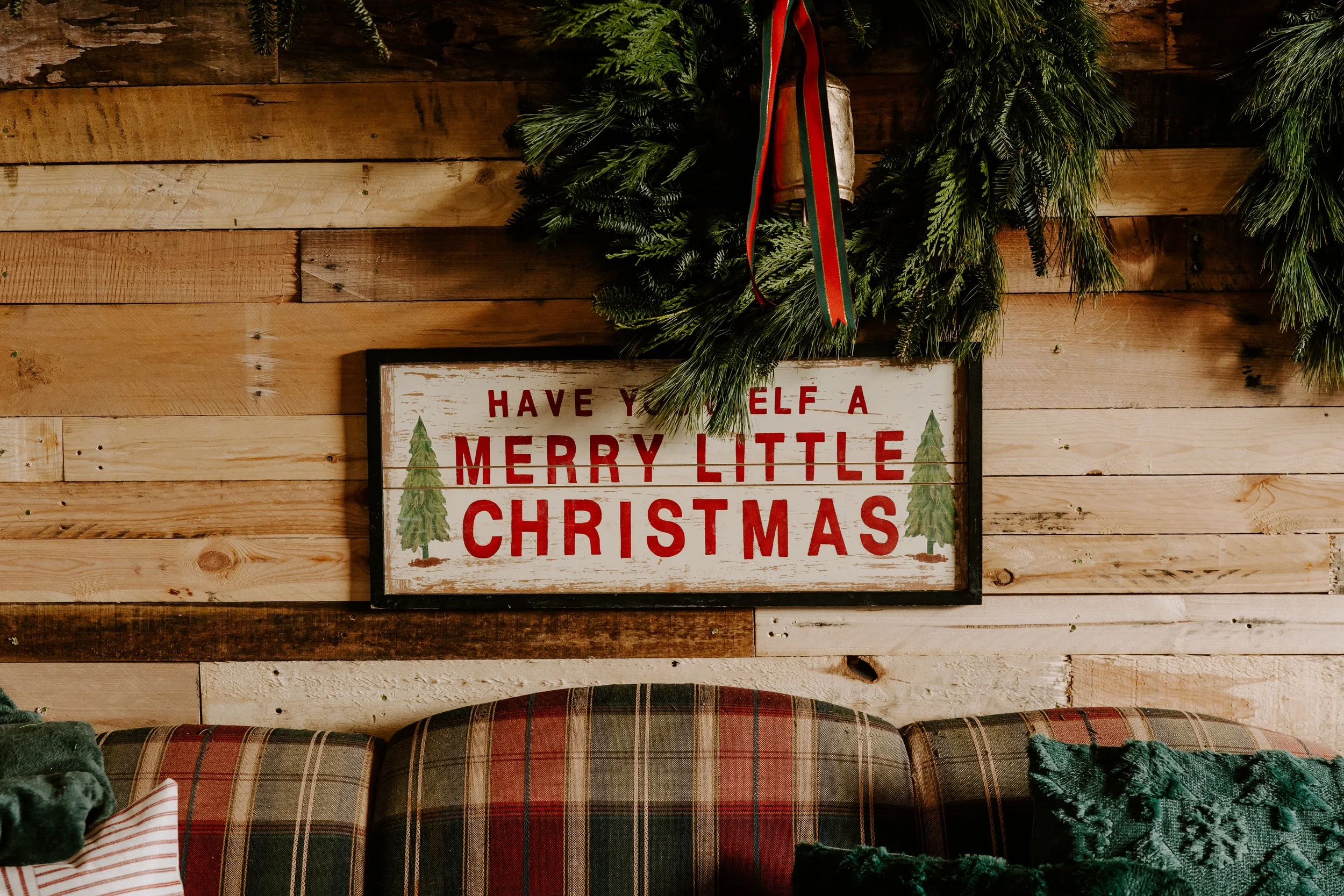 2025ChristmasTreeFarm-46 - Copy.jpg