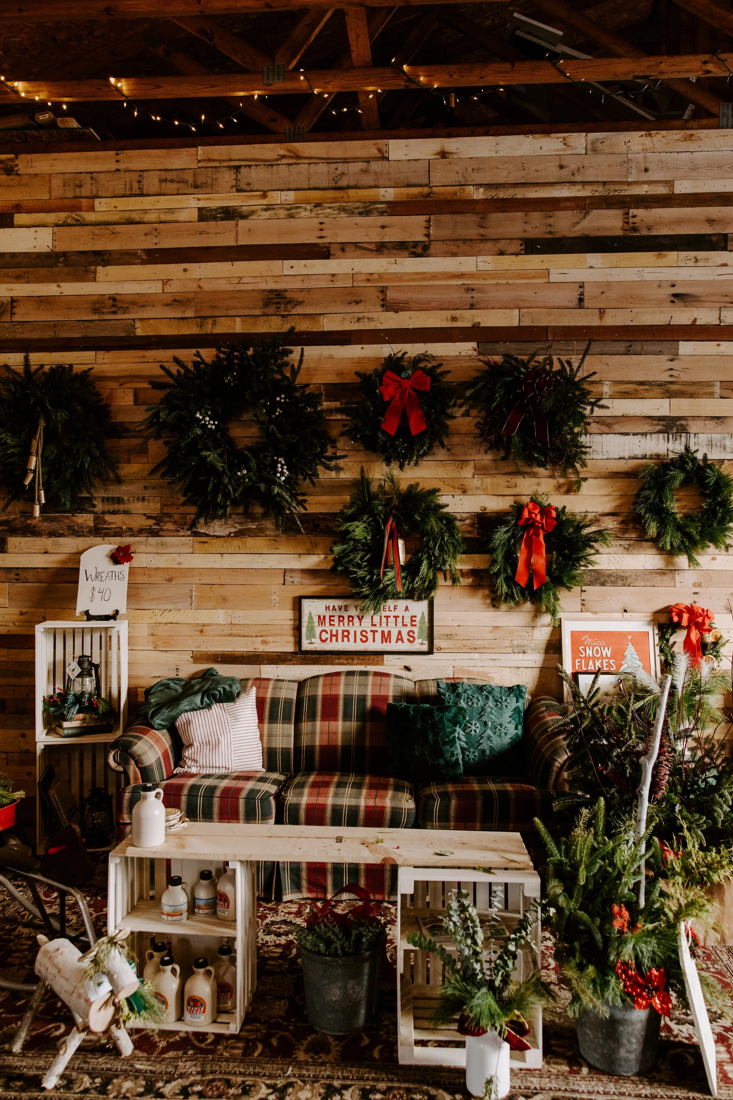 2025ChristmasTreeFarm-45 - Copy.jpg
