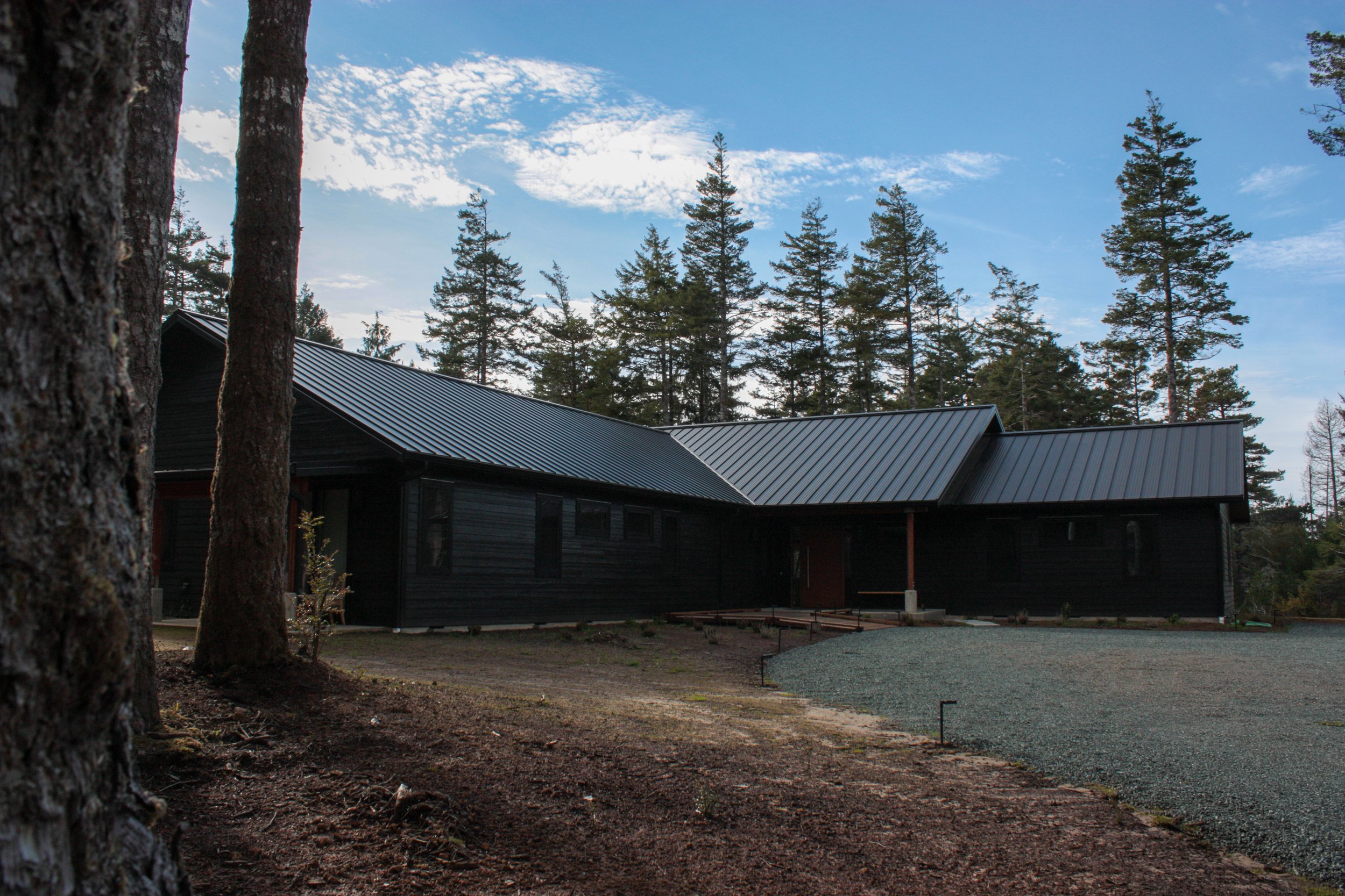 A dark-colored house with metal roofing situated in a wooded area with tall pine trees and a partly cloudy sky.