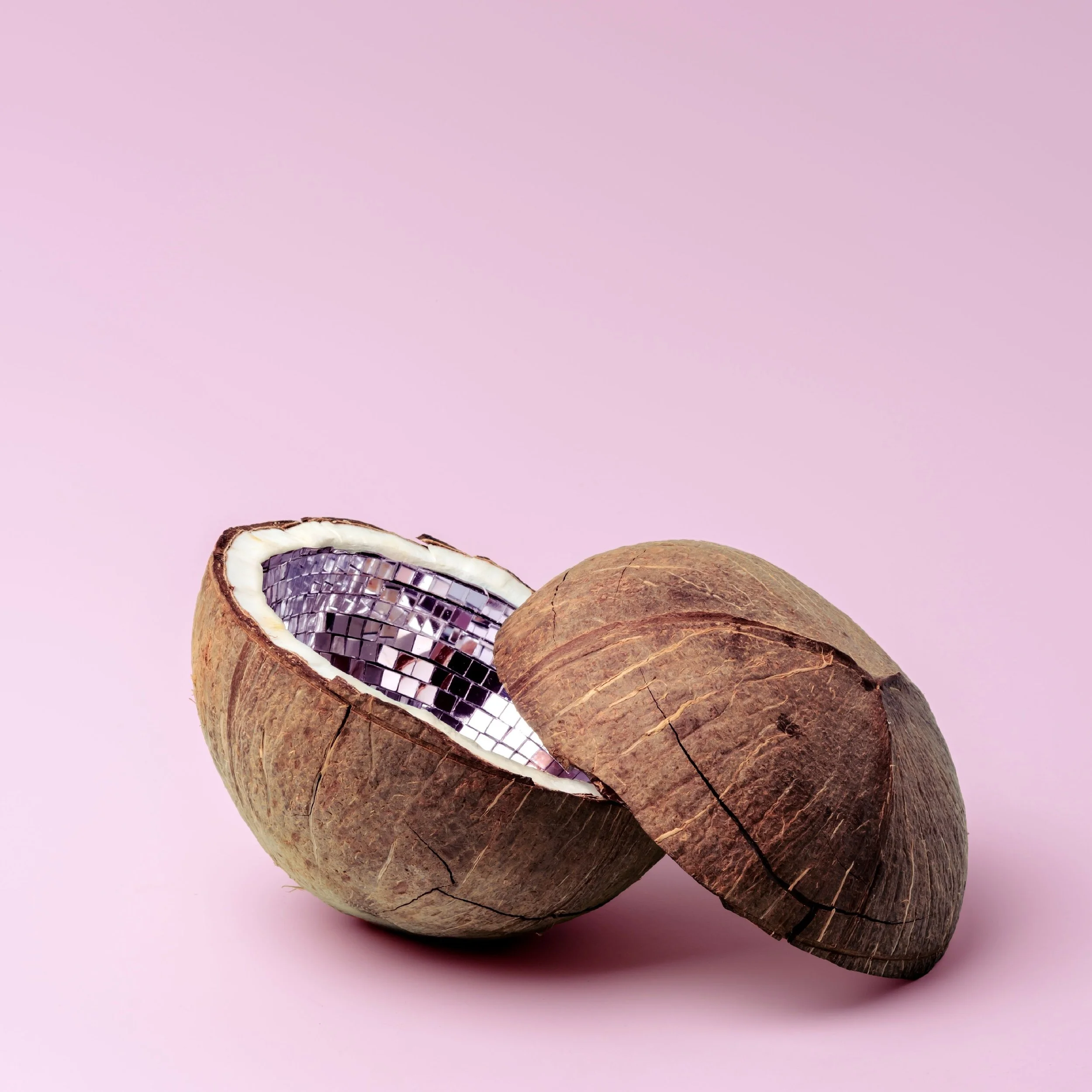 Christmas Tree branch with two disco ball ornaments. Image for Doubles Therapy or Dyadic Therapy at CouplesTherapy.co in December.