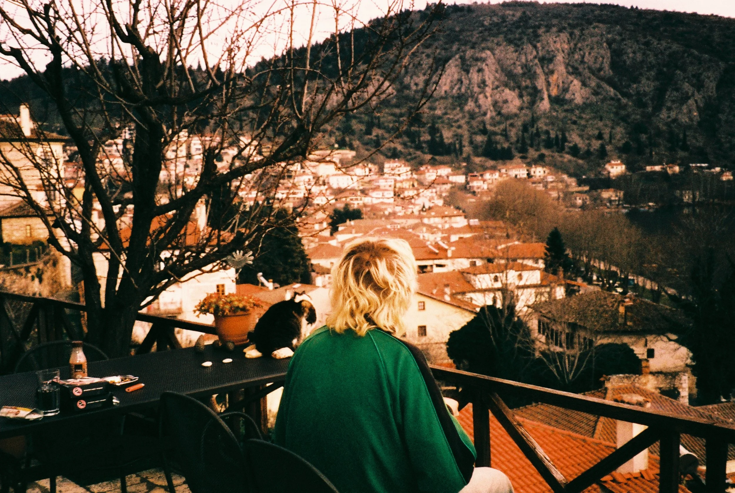 kastoria cat and arvid