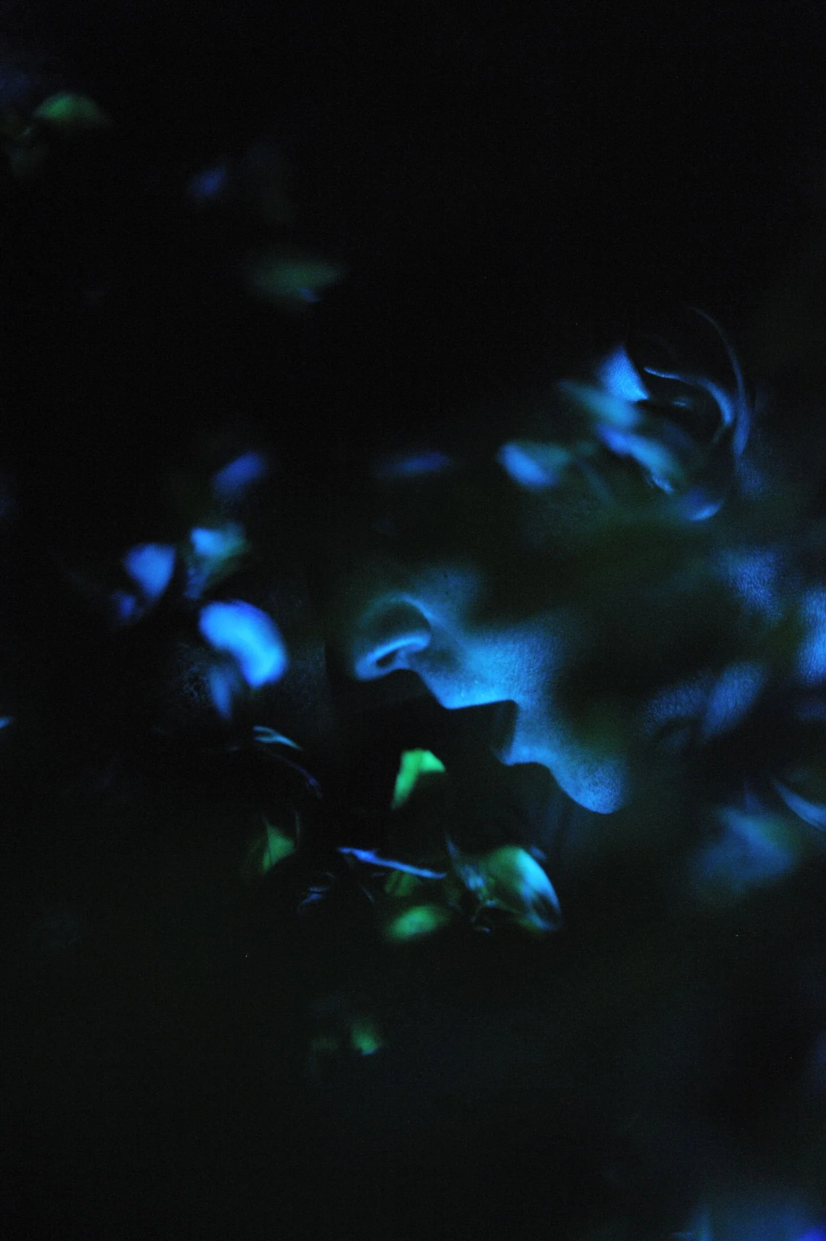 The Feast in the Garden