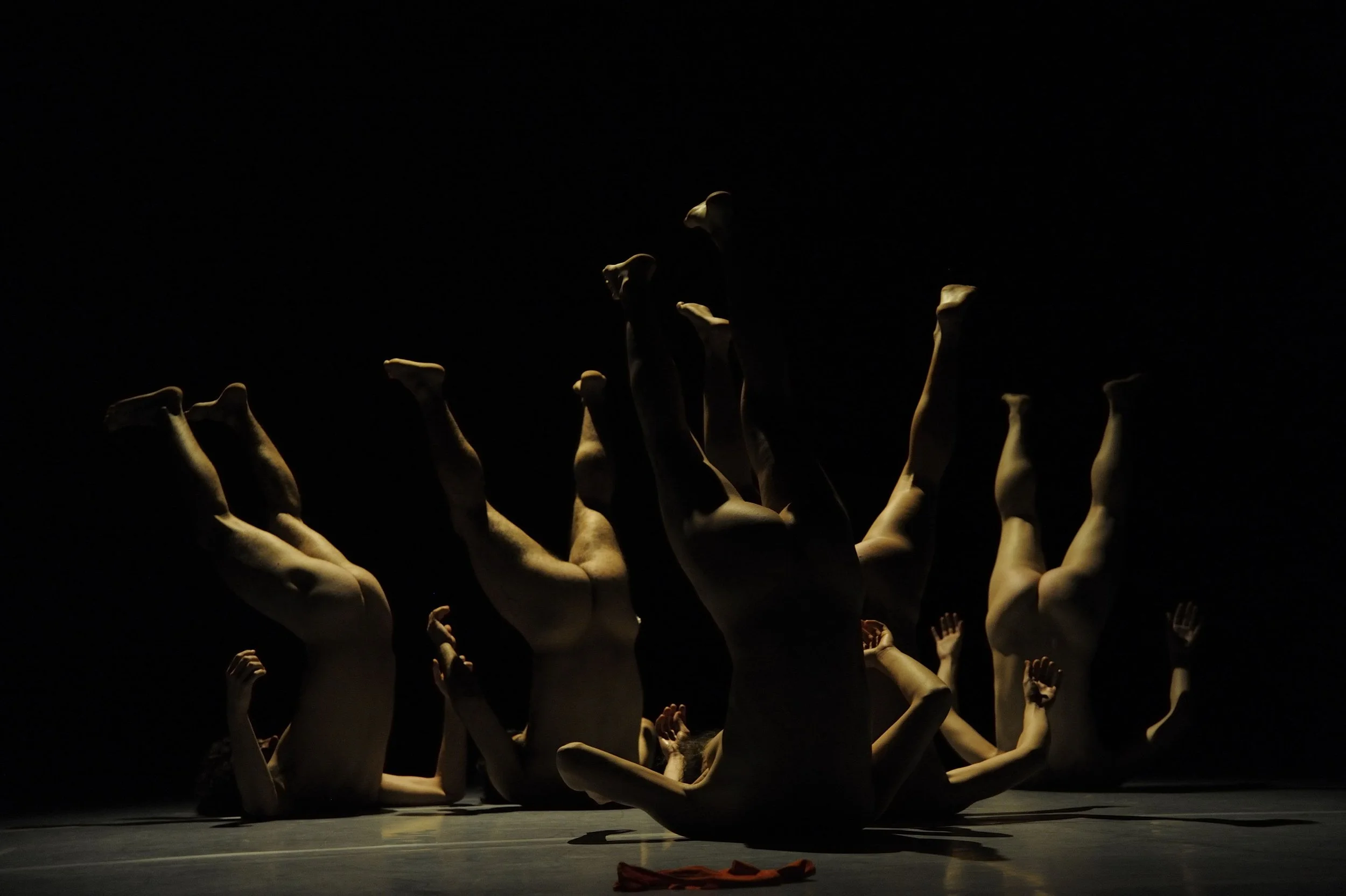 29 NOE13_930 Humans Being.JPG