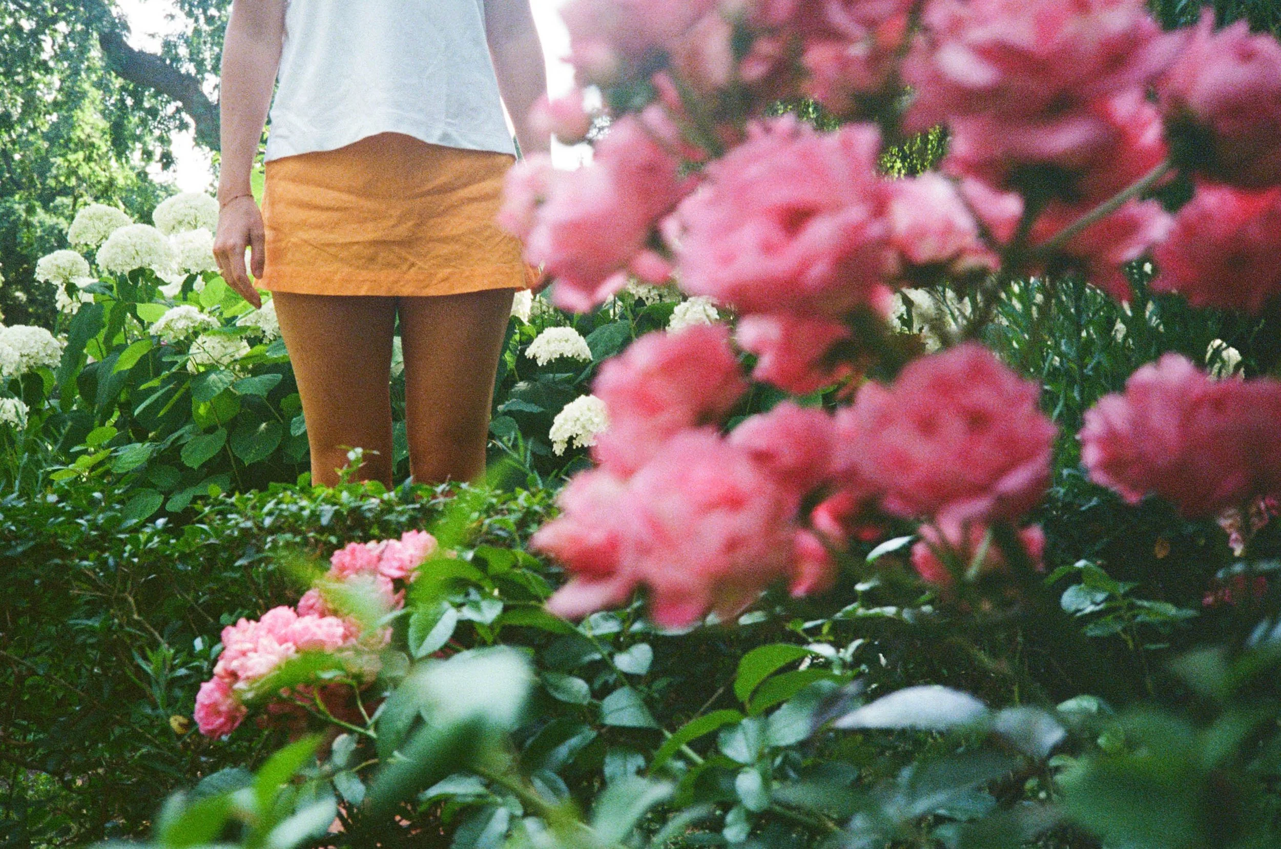 Partially visible person standing among pink and white hydrangea flowers and green foliage in a garden.