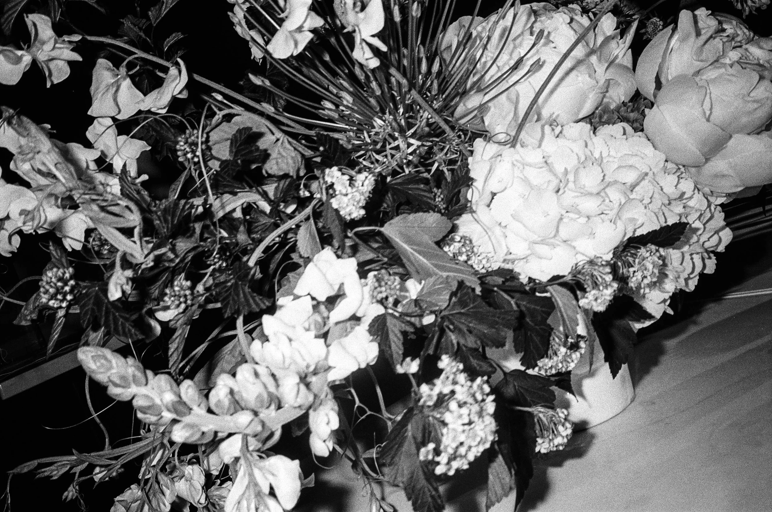 2BCB7883-ACAD-42EA-A010-F22C300DE59B.jpeg