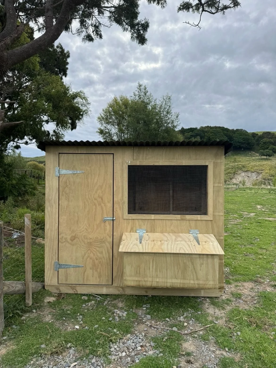 One of our chicken coops in action! This is our single bay option 1.2 x 2.4m. This coop was flat packed for shipping to gisborne where the client easily assembled it on farm 🐔 

Get in touch with us for a kit set chicken coop today !!