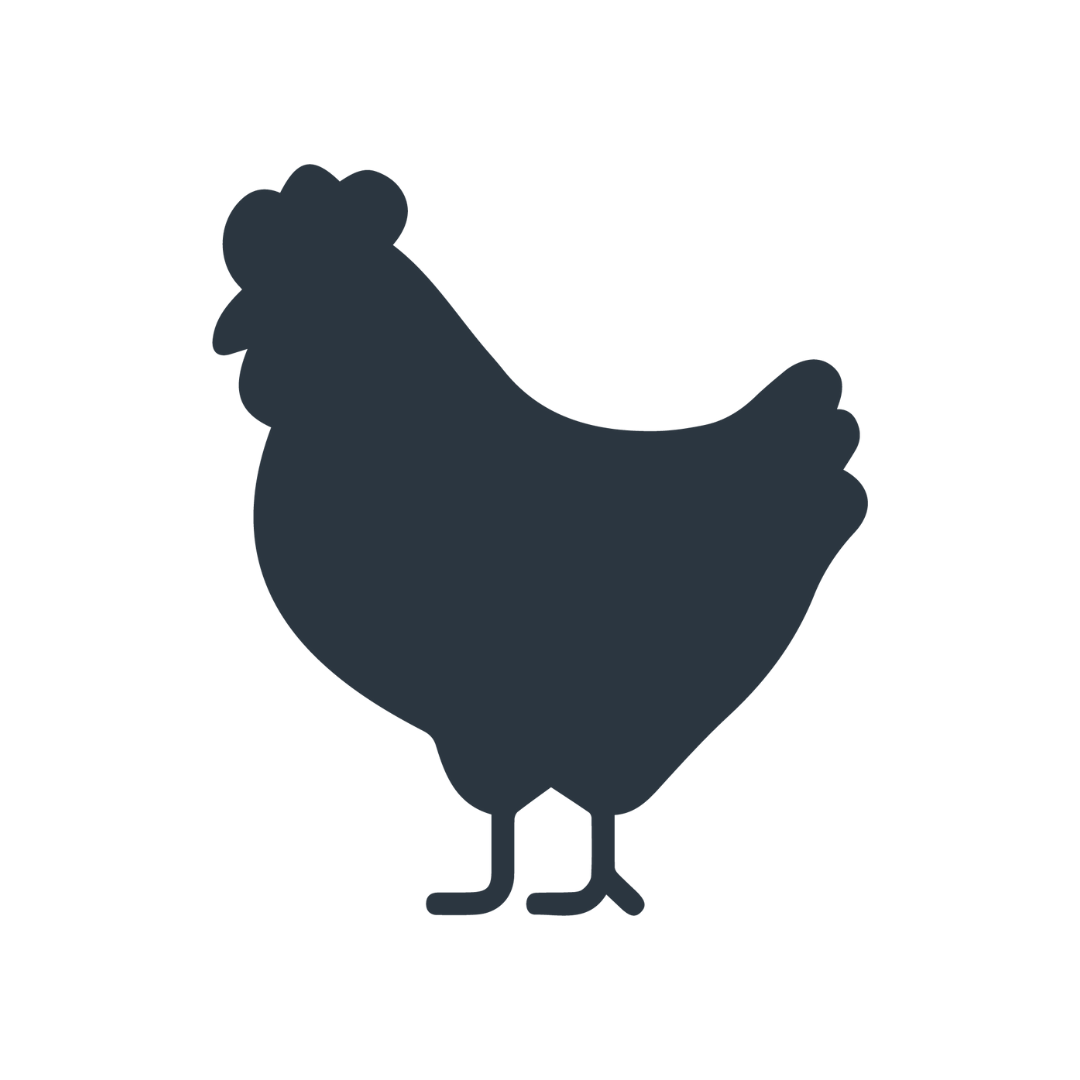 Silhouette of a chicken