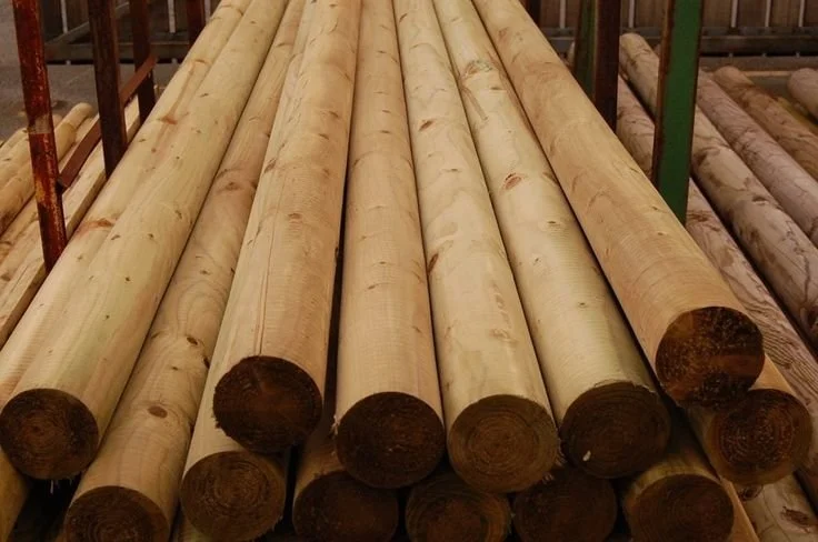 Stack of large, light-colored wooden logs in a warehouse or lumberyard.