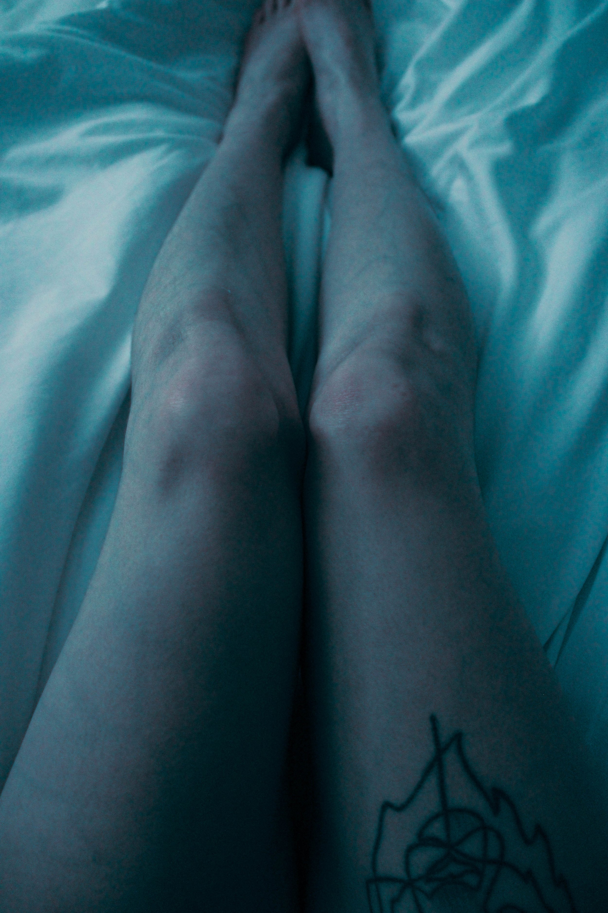 self portrait