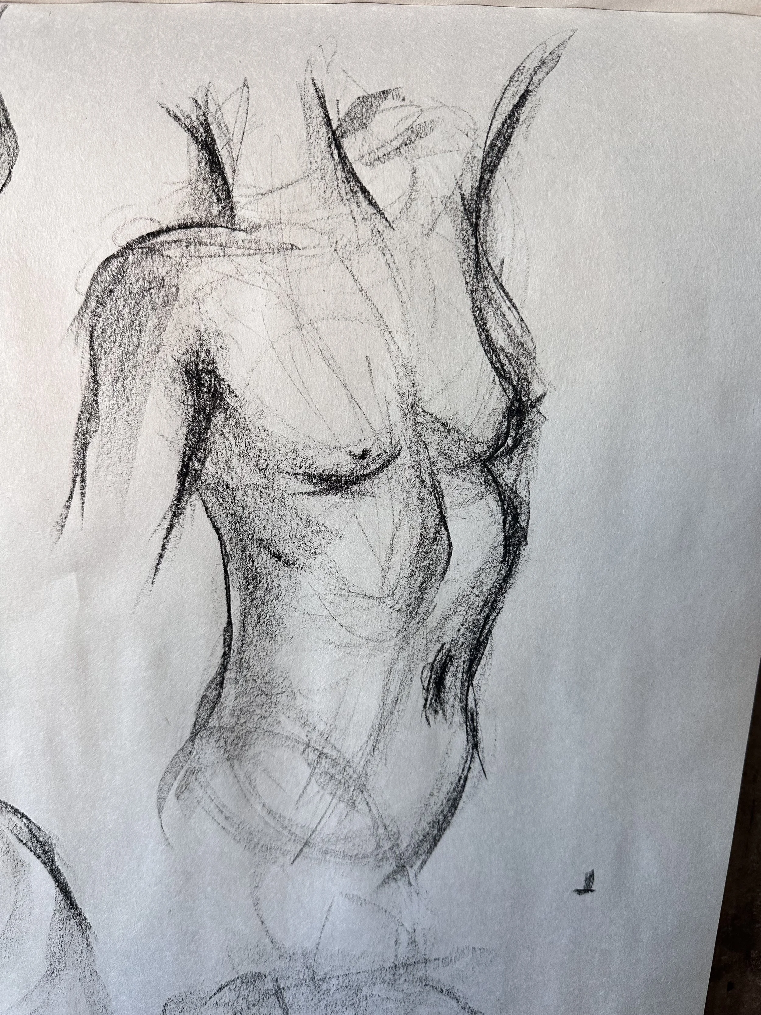IMG_7638.jpeg