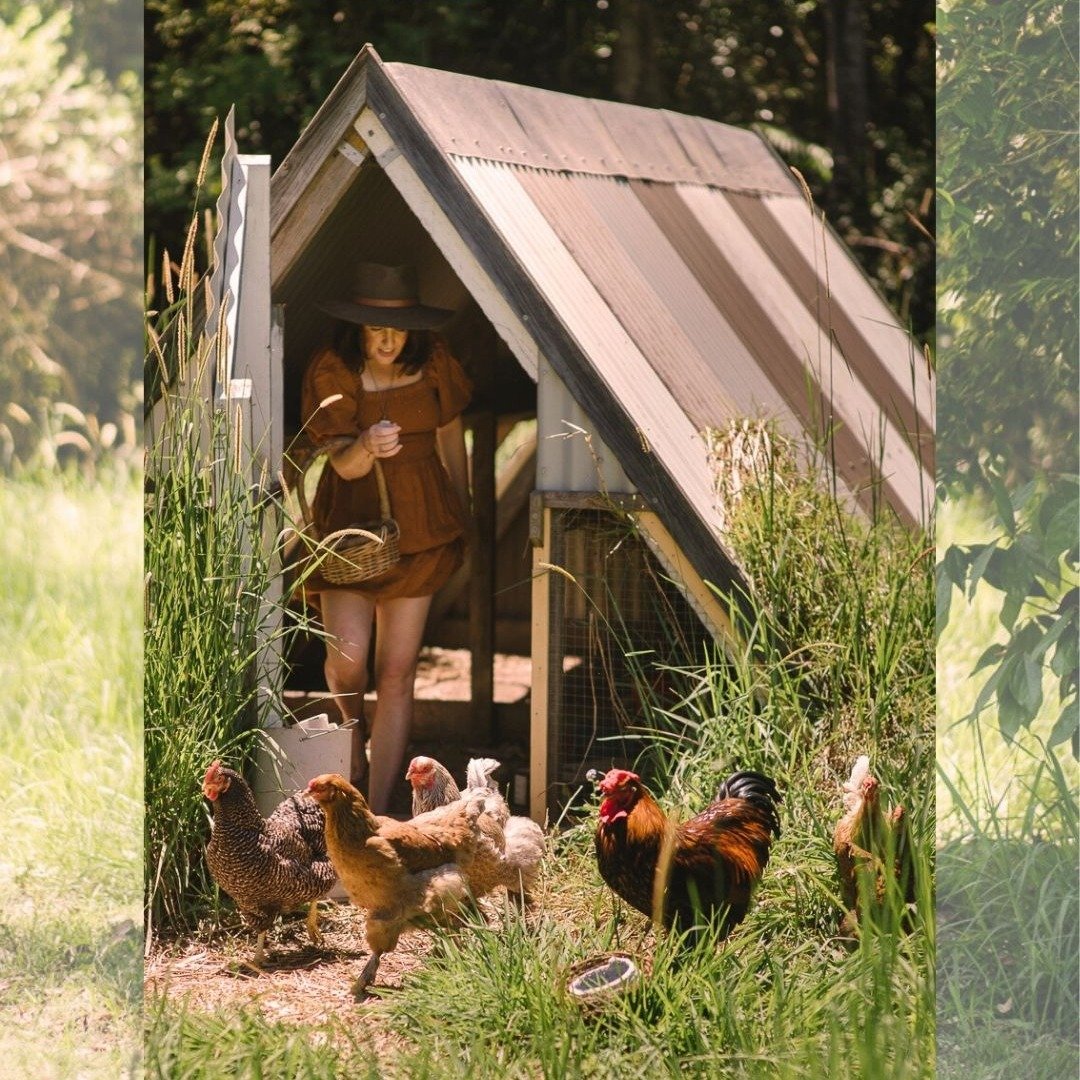 "She's a woman of science &amp; substance."
~ anon

@amy.talks.tech shares the benefits of ethical &amp; sustainable business practice PLUS all the info you could ever want about raising chickens &amp; working towards the ultimate Aussie Dr