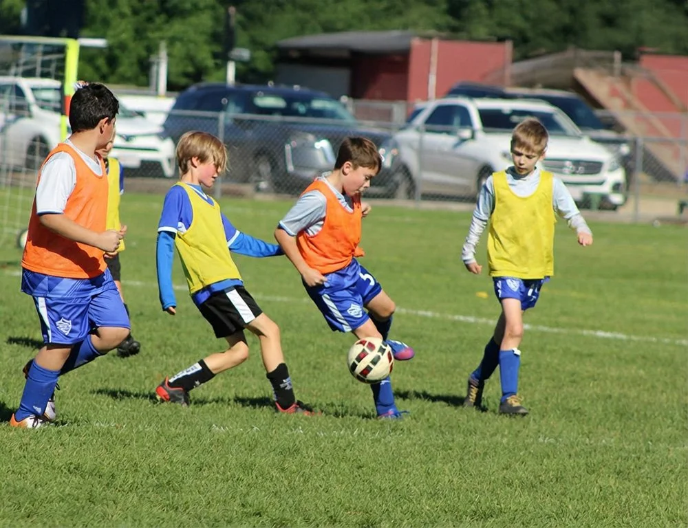 Young boys playing soccer on a grassy field, some wearing orange and yellow bibs for team differentiation, with cars and a chain-link fence in the background.