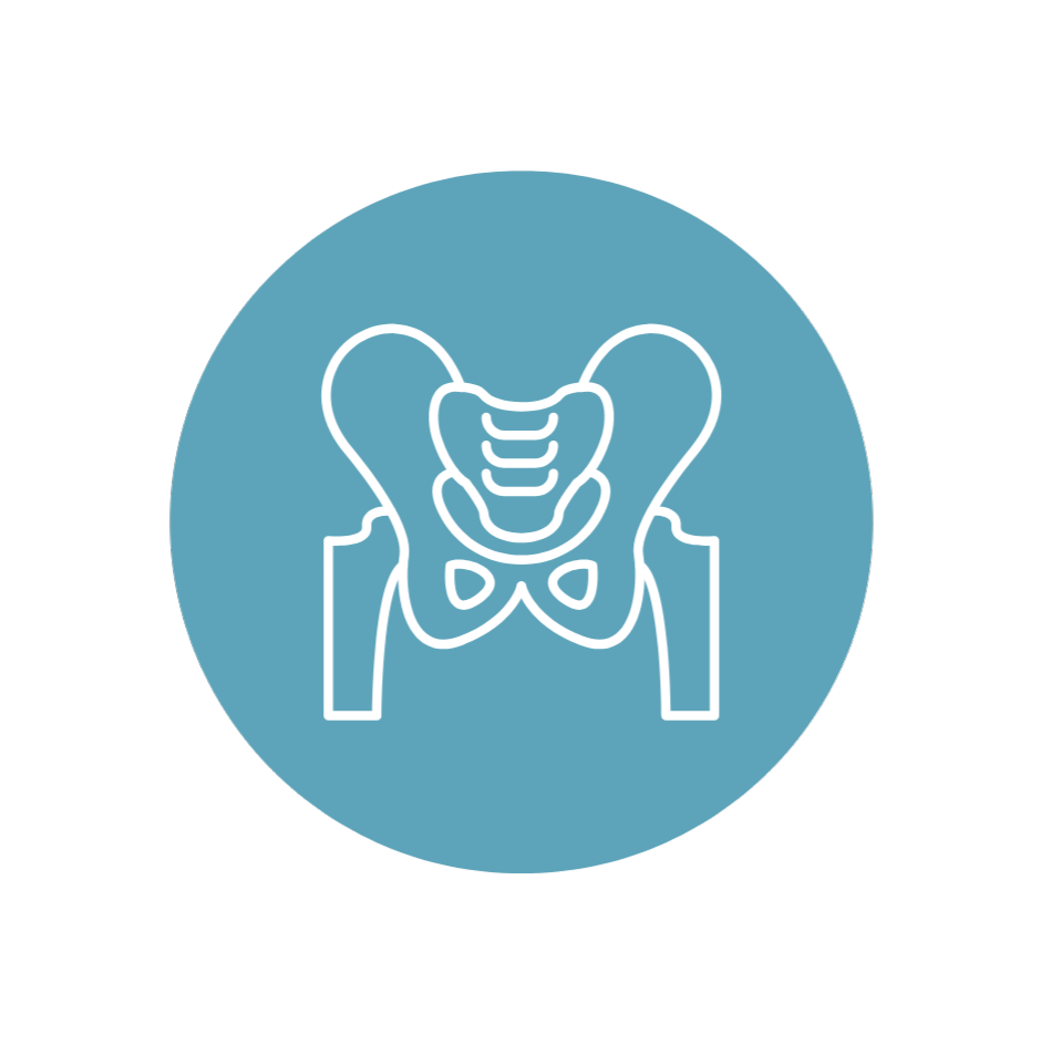 Outline drawing of a human pelvis and lower spine within a blue circle.