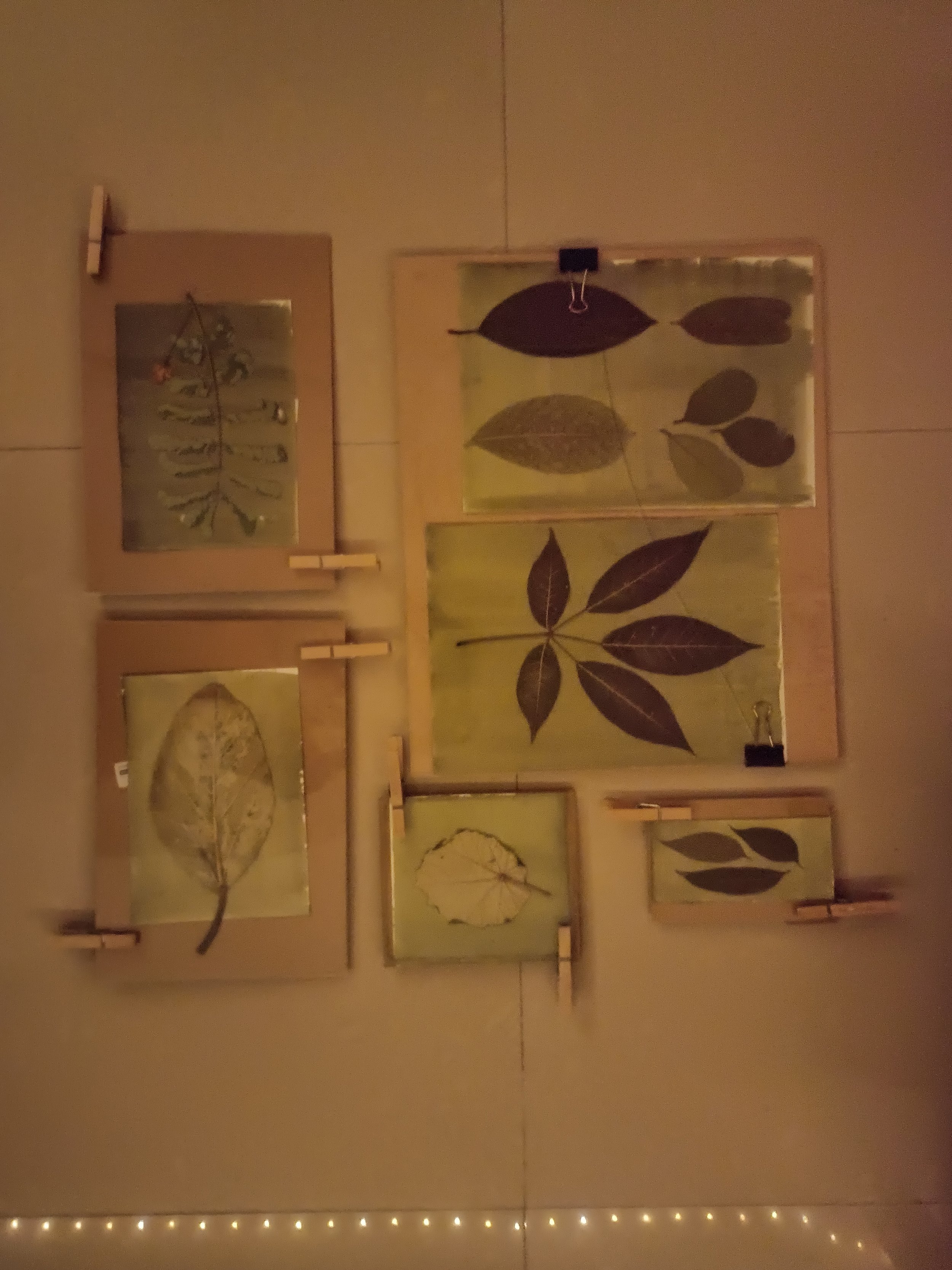 Pressed leaves on coated watercolour sheets