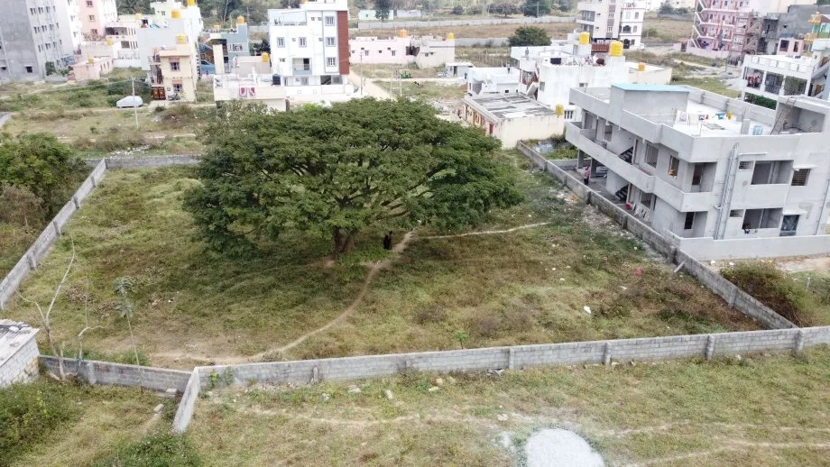 10 - Site