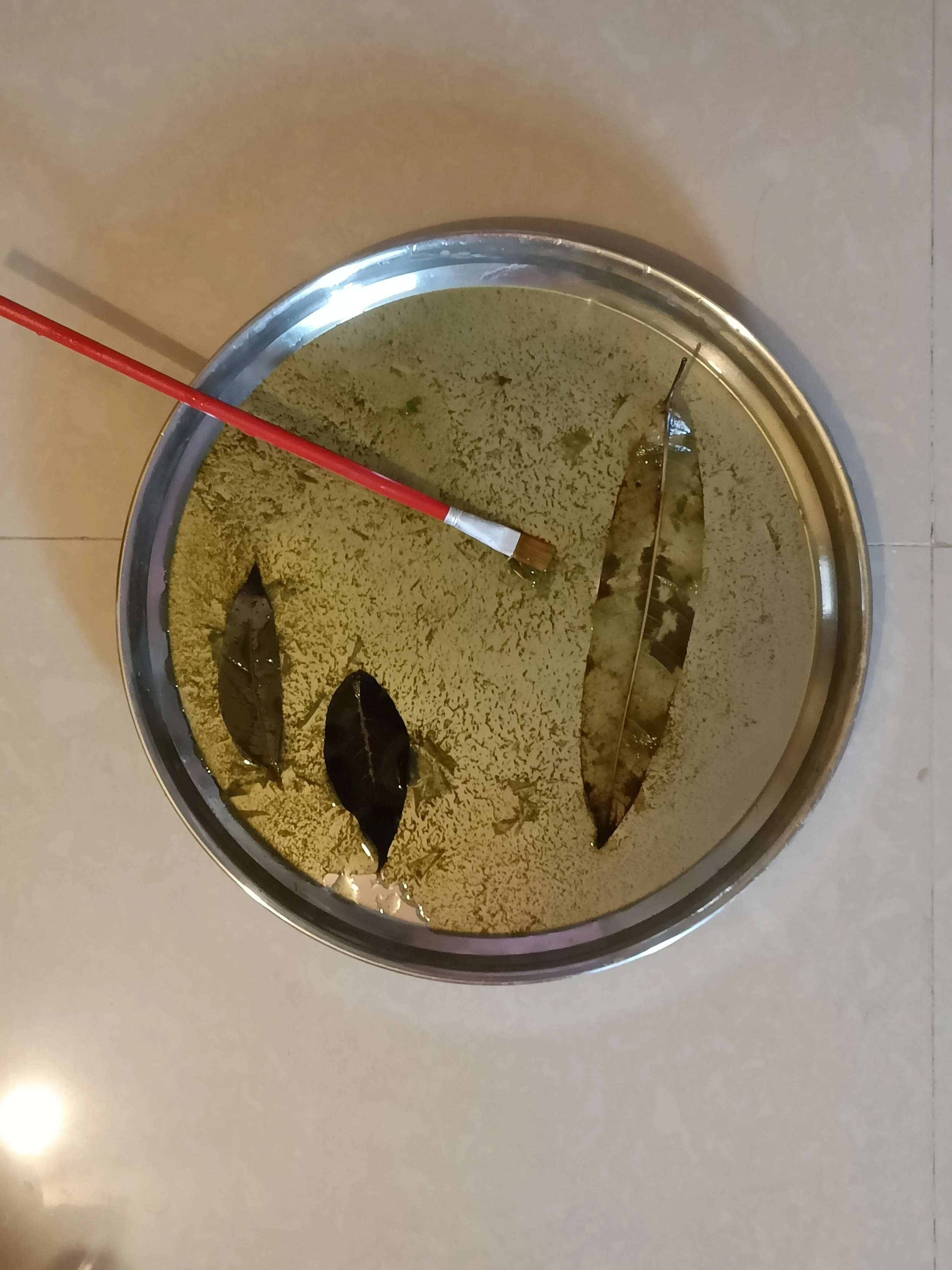 Leaf skeletonisation