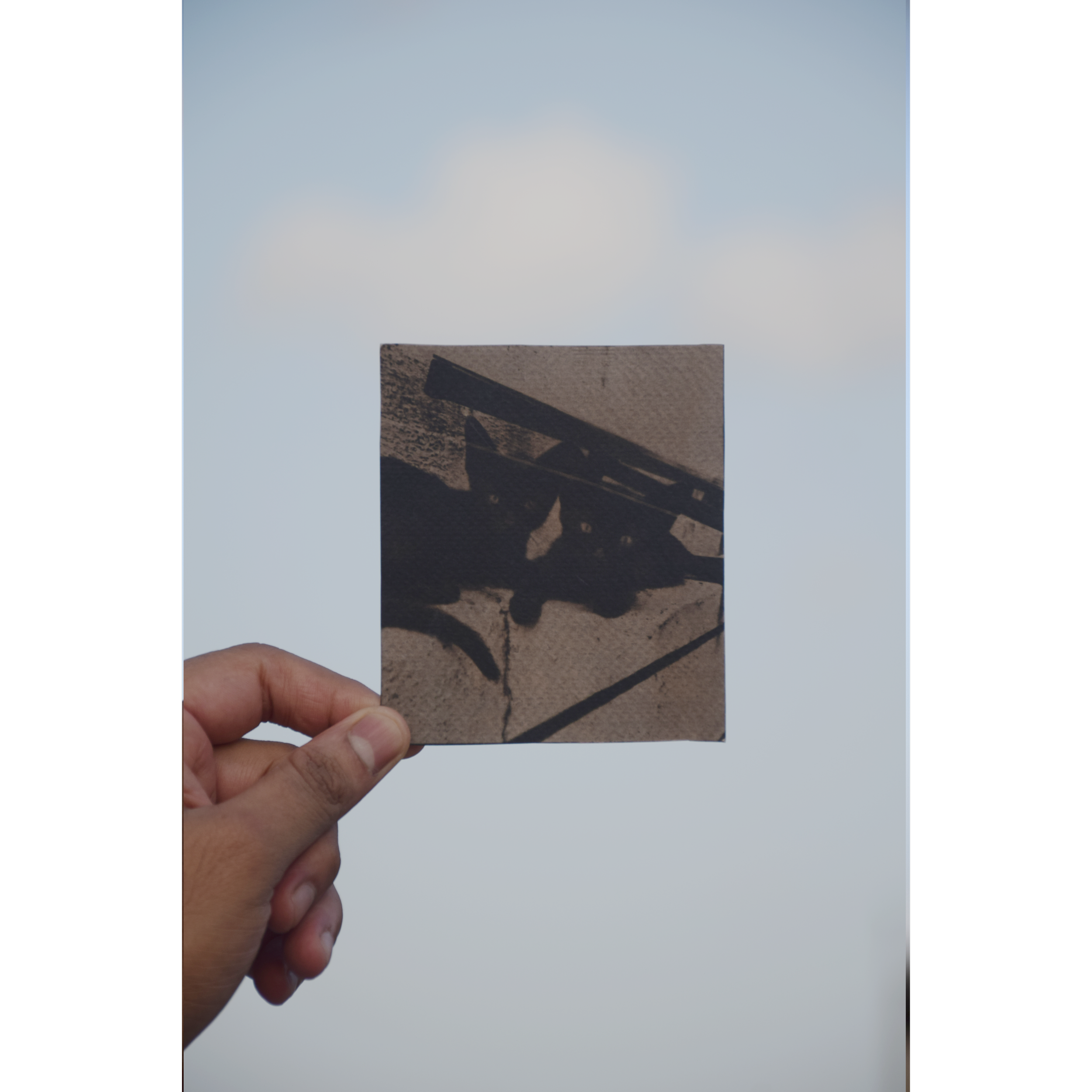 'Boat and Games' (toned with coffee), cyanotype on 25% cotton paper