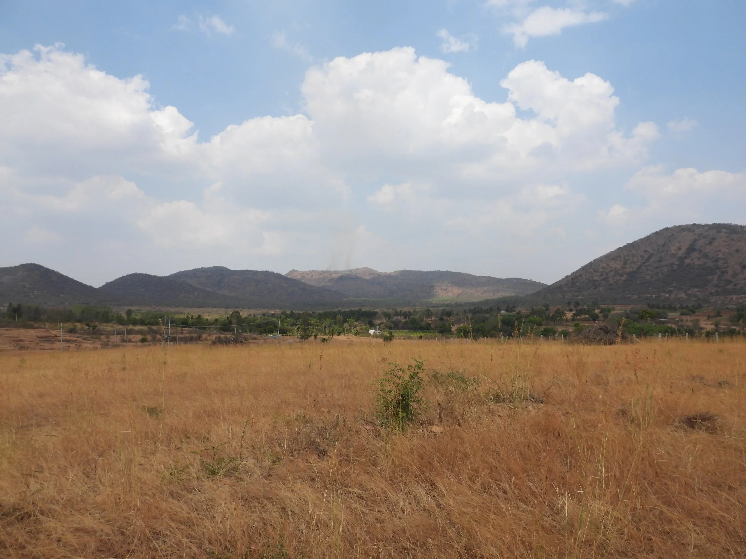 View of site [photo by Jananee Mohan]