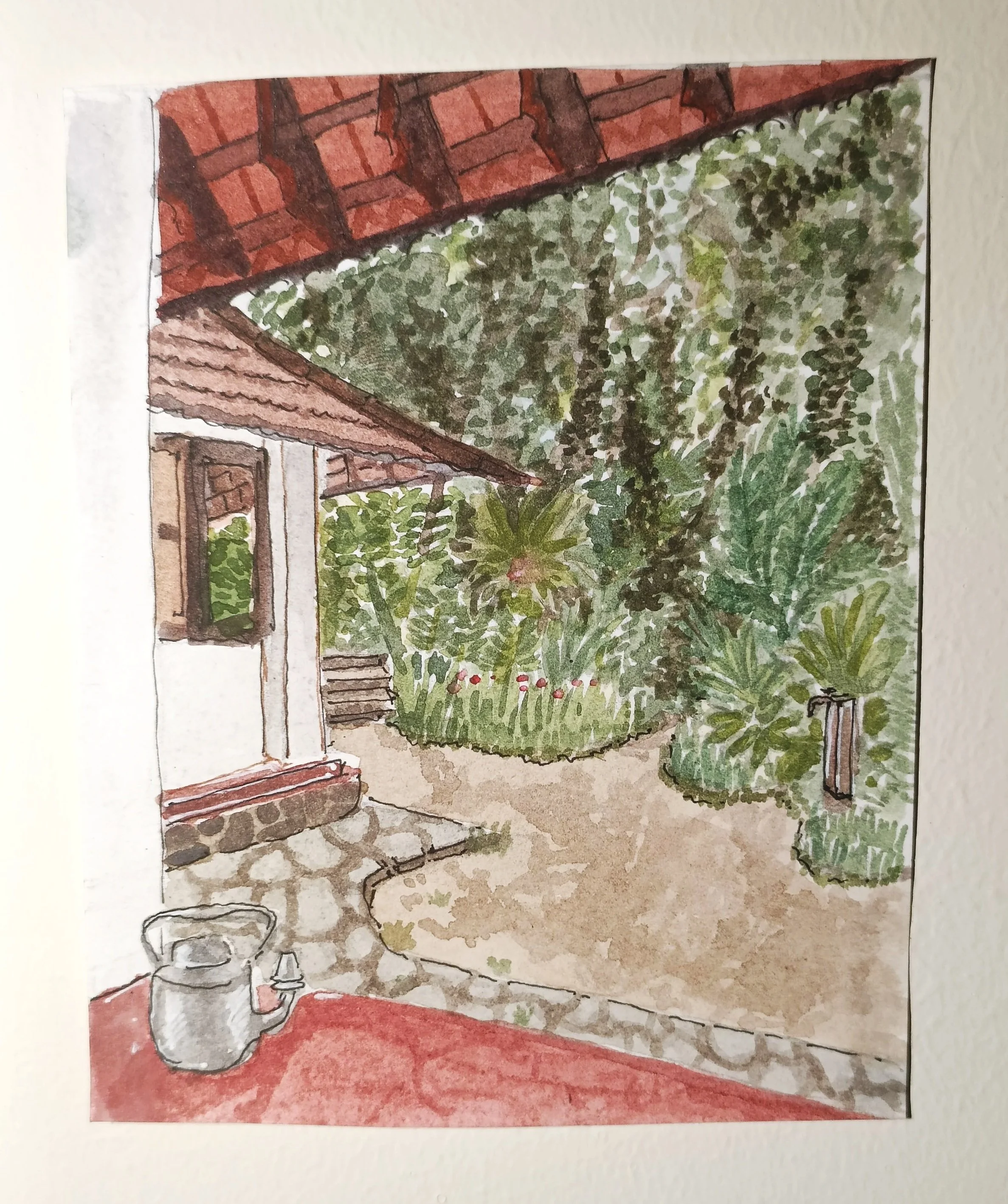 'Tea time'
Gurukula Botanical Sanctuary, 2024