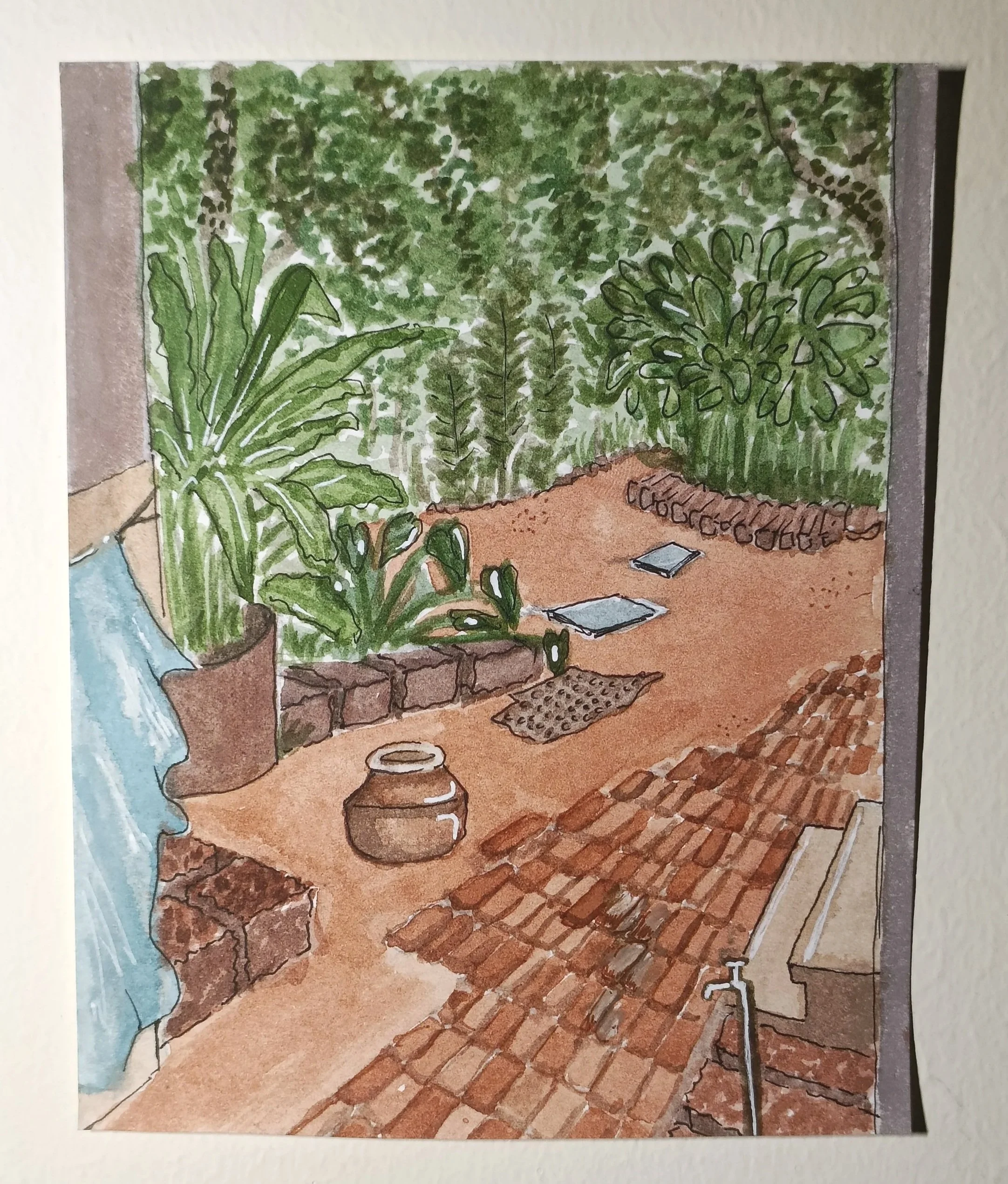 'Morning Chores'
Gurukula Botanical Sanctuary, 2024