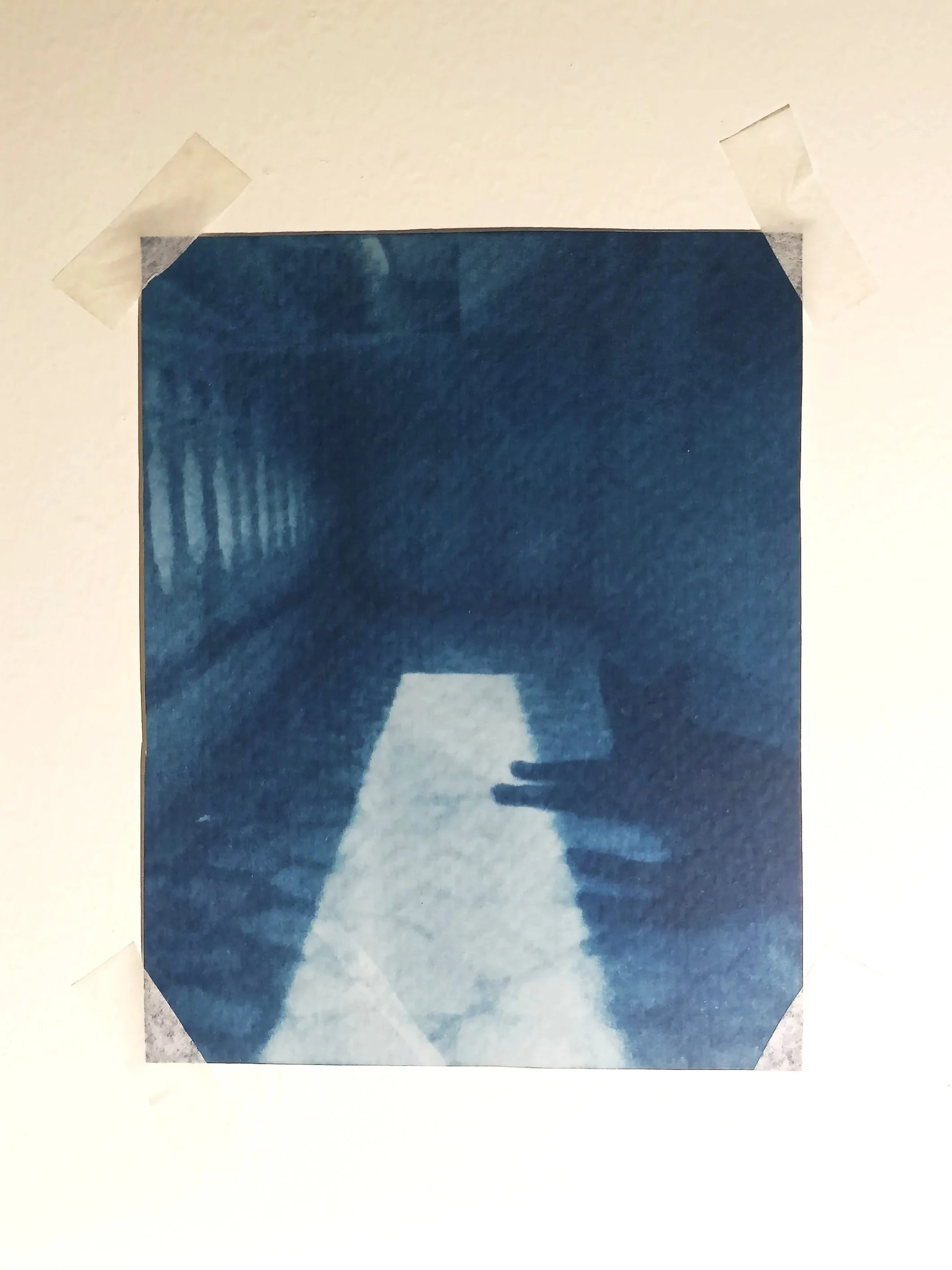 'Cat in the shadows', cyanotype on 25% cotton paper