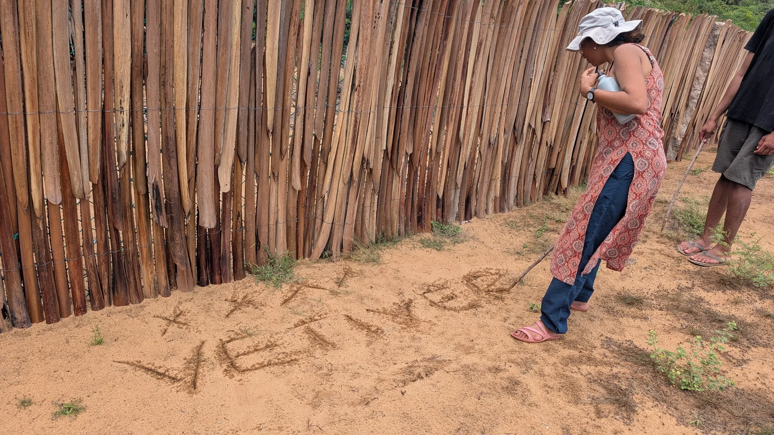 (Easy) marking of planted zones on ground [photo by Jananee Mohan]