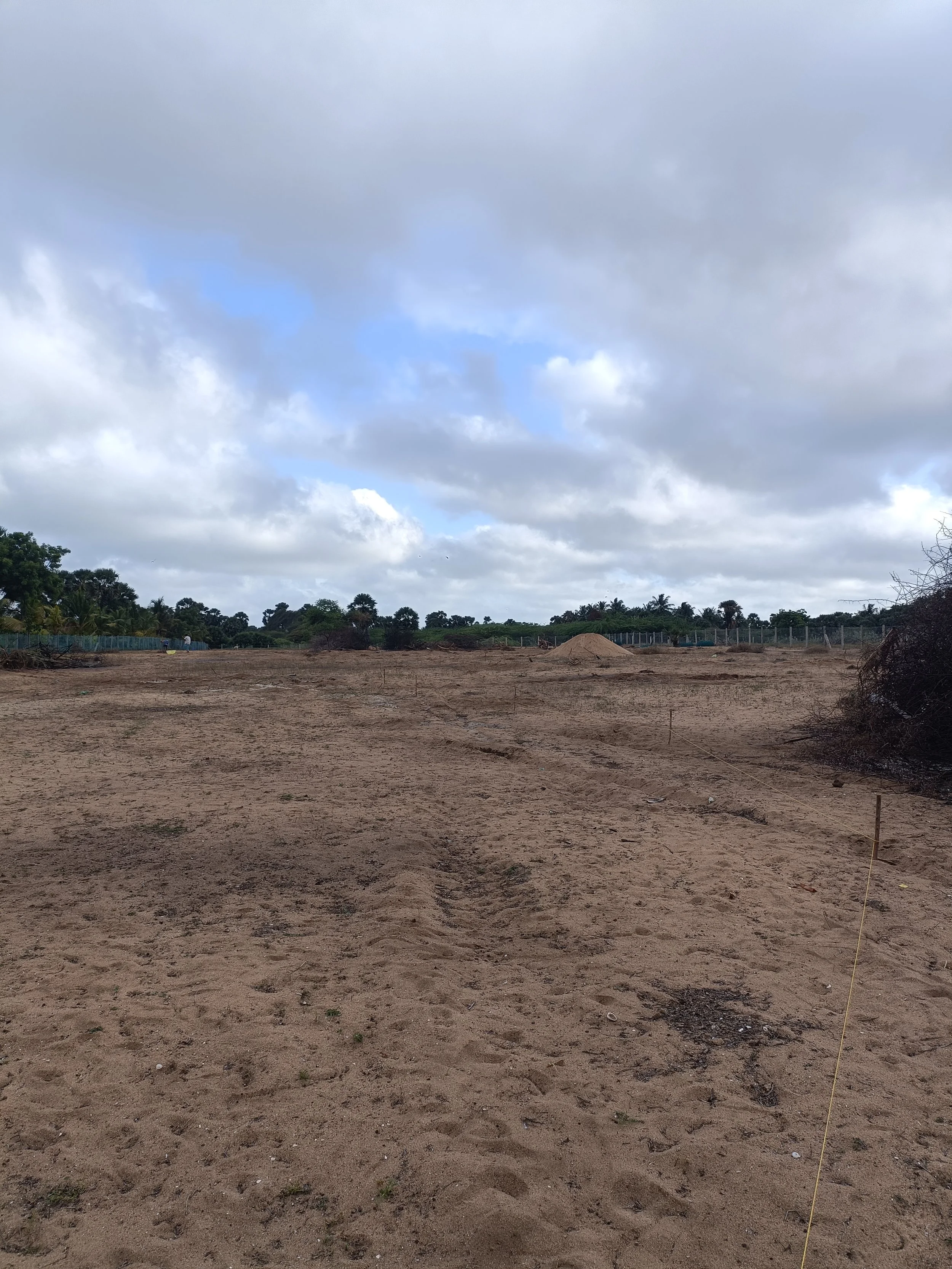 Pathways marked on site
