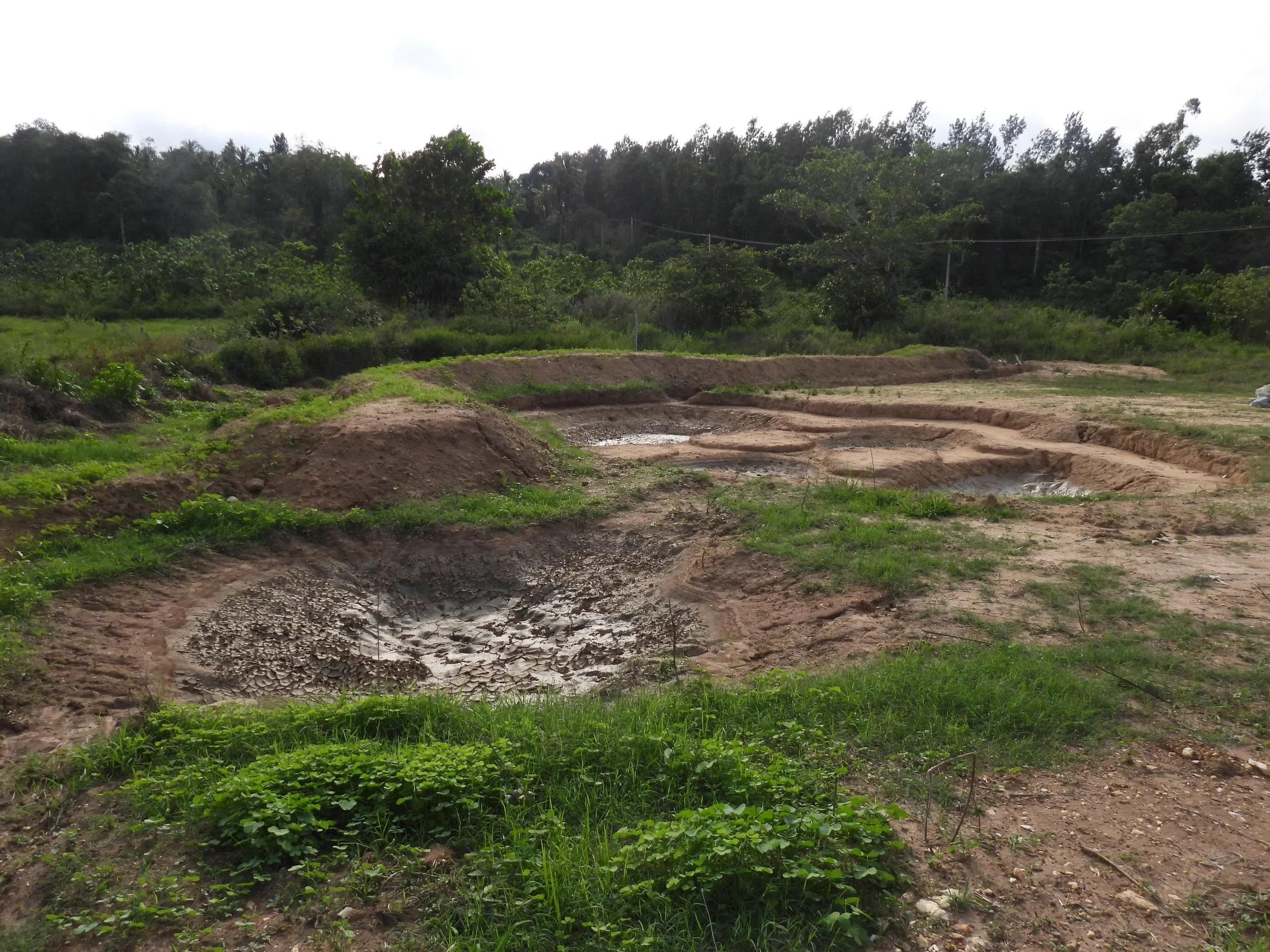 Pond 3 after a monsoon [photo by Jananee Mohan]