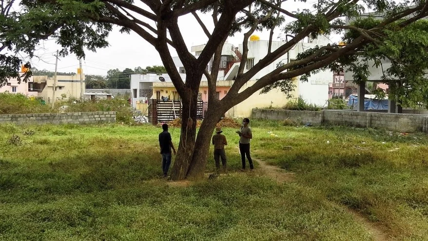 8 - Site