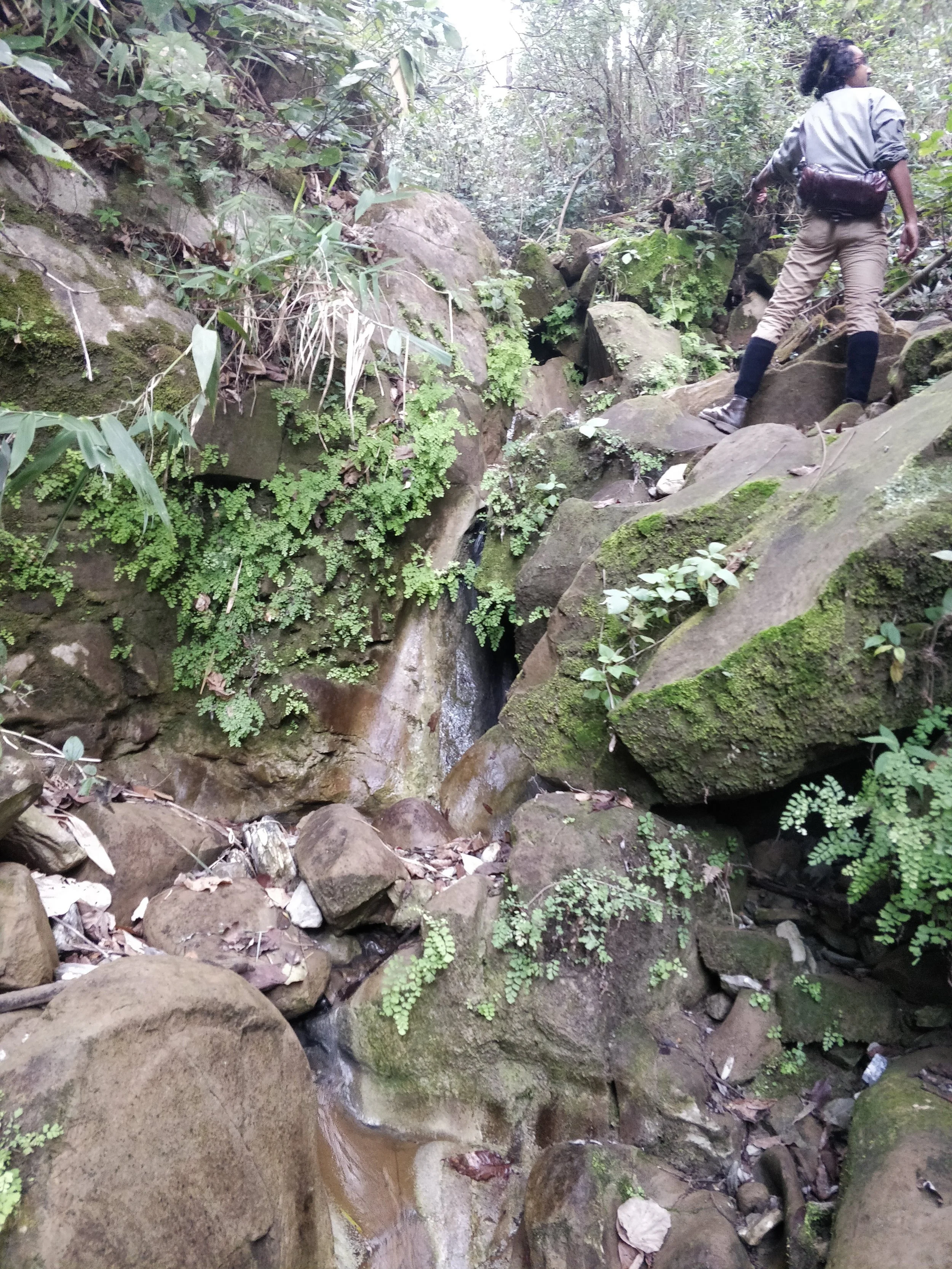 Perennial stream bordering the site