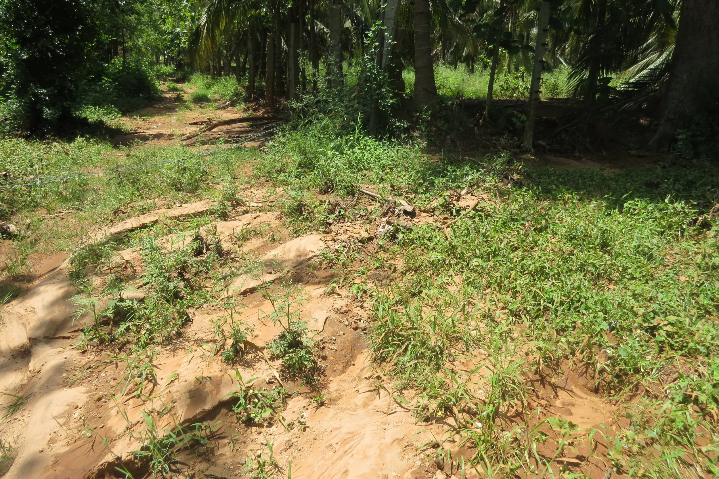 Silt inflow into site