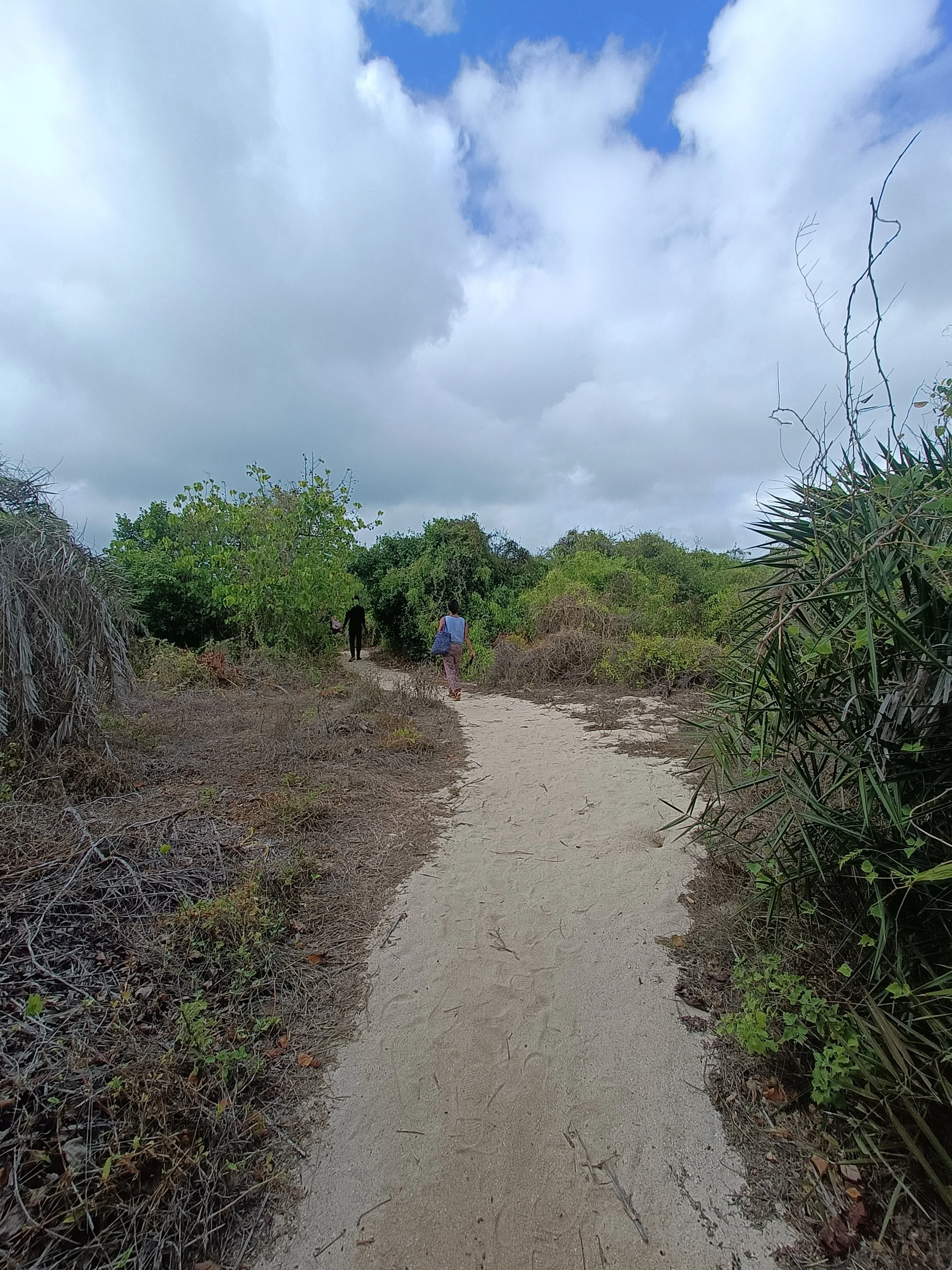 Native vegetation and sand pathways (Kurusadai Island)