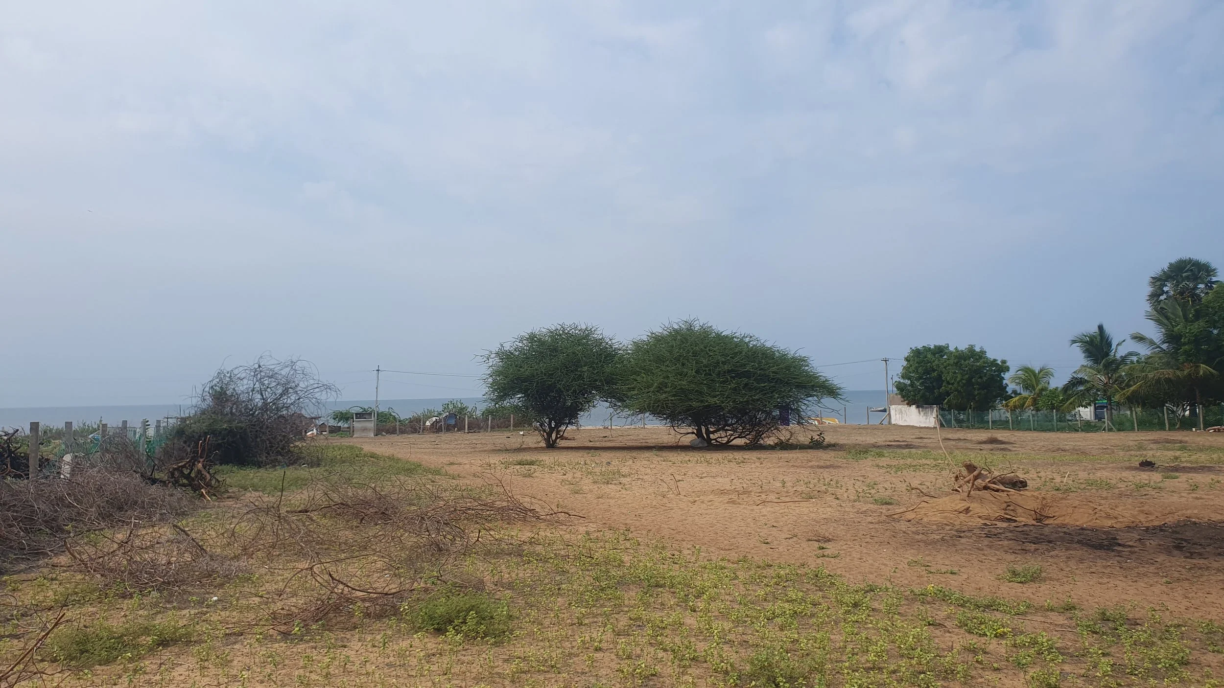 View of site from SW corner