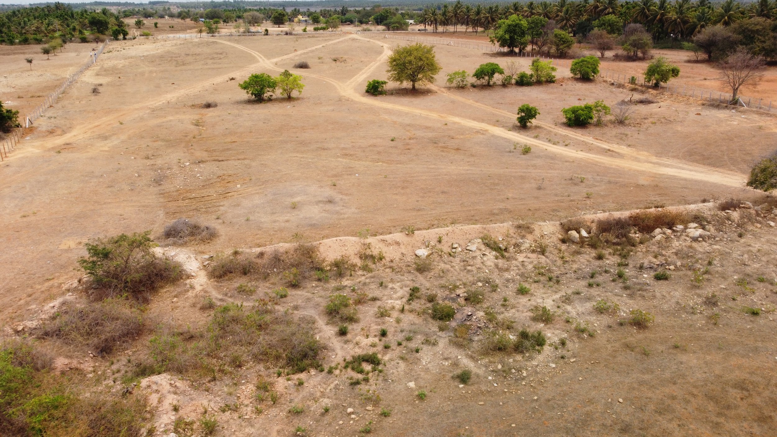 View of site from the south, showing bunds with lines of trees [drone shots by Nikhil Rodrigues]