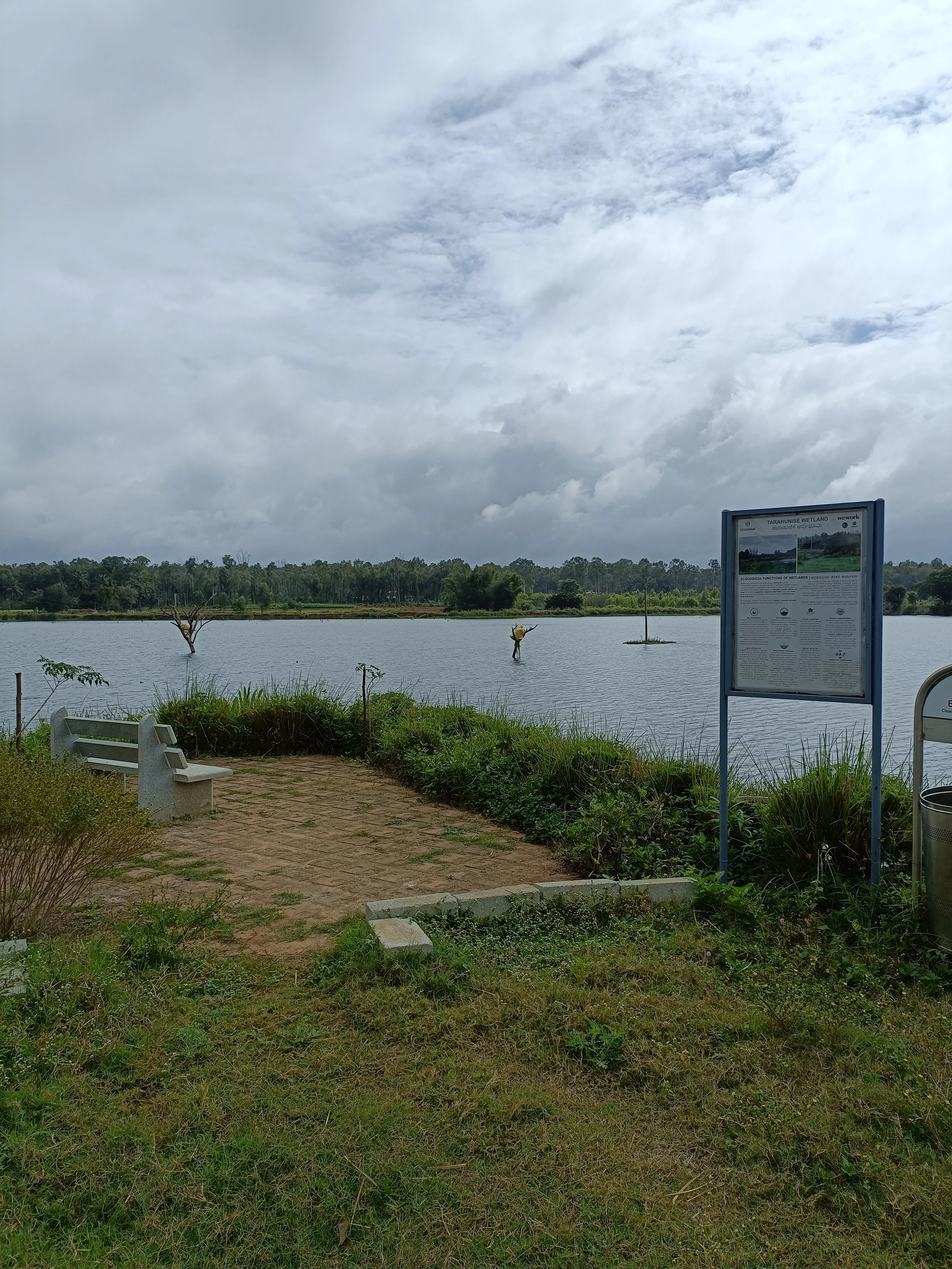 View of a wetland park with water and trees, an informational sign on the right, and a brick pathway with two benches in the foreground. There is a cloudy sky overhead.
