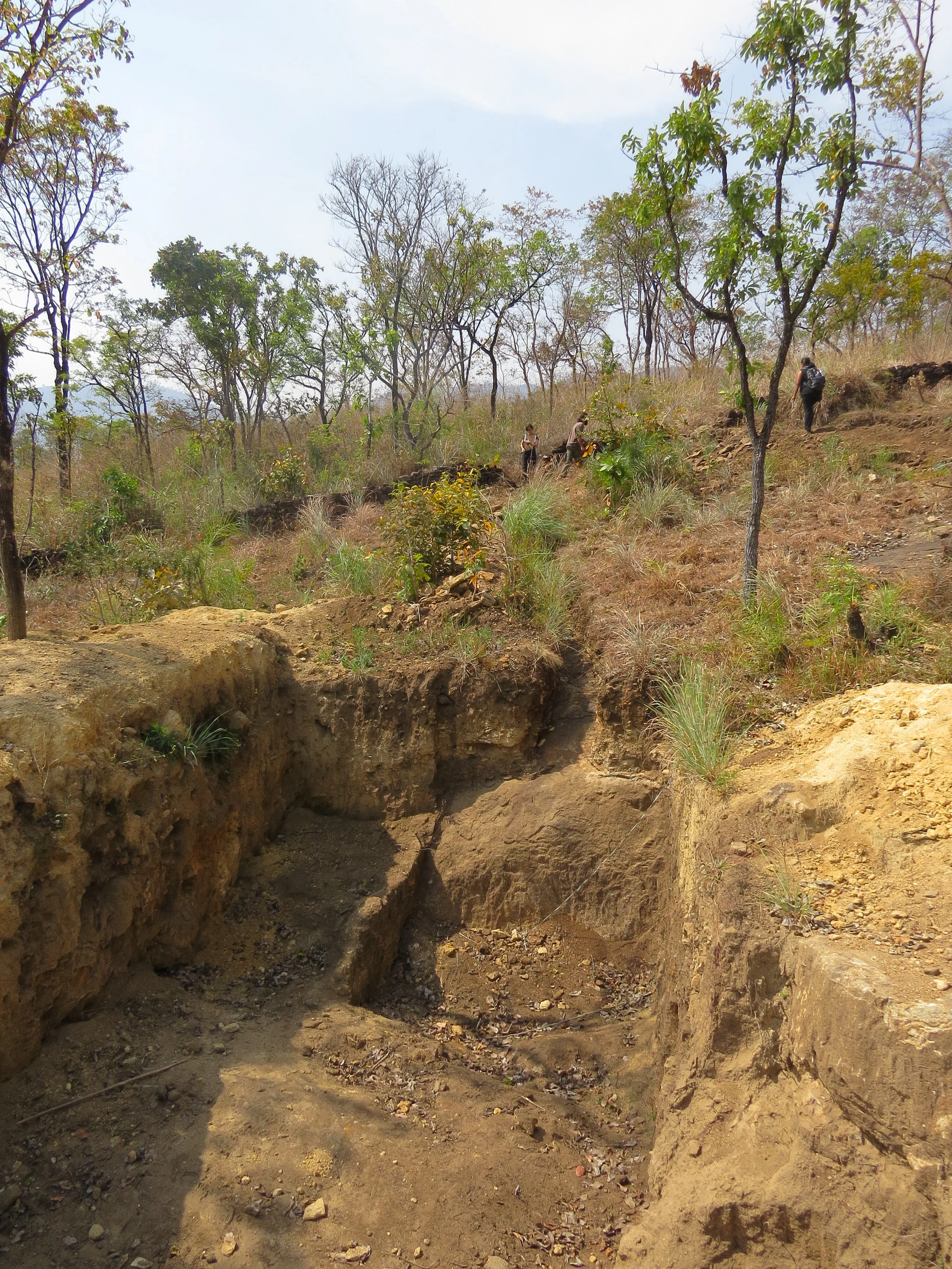 Existing pond (spring-fed)