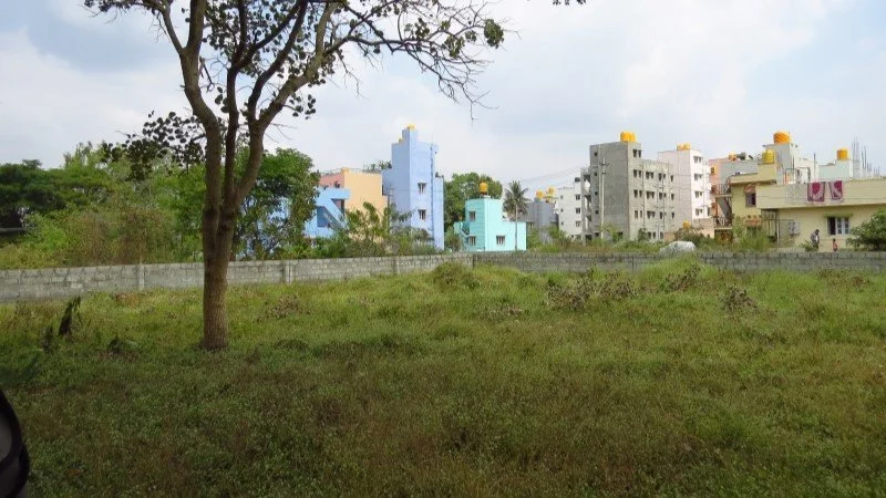 6 - Site