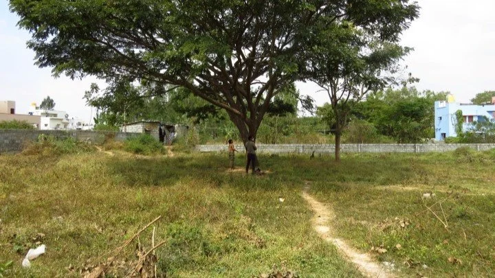 7 - Site
