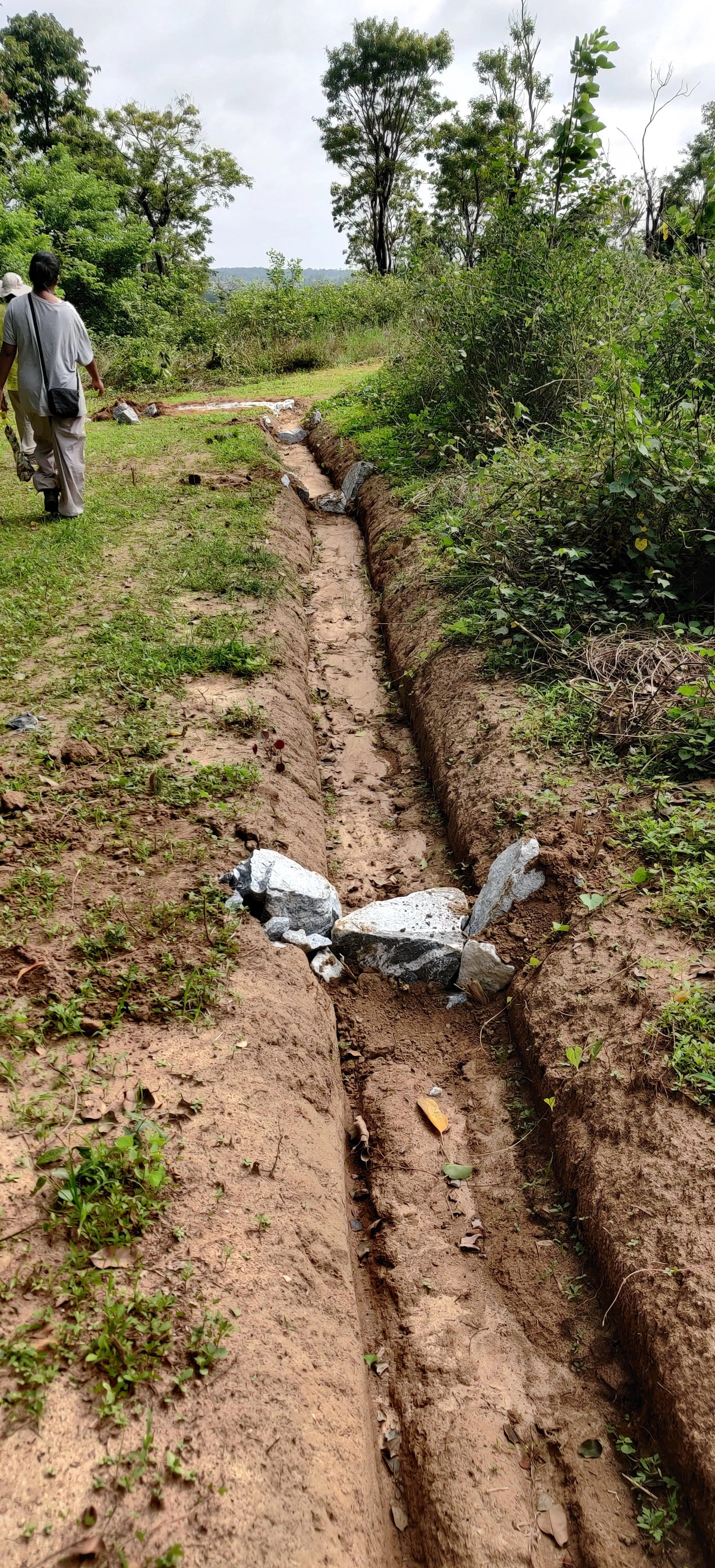 Bioswale with one-rock-dam [photo by Jananee Mohan]