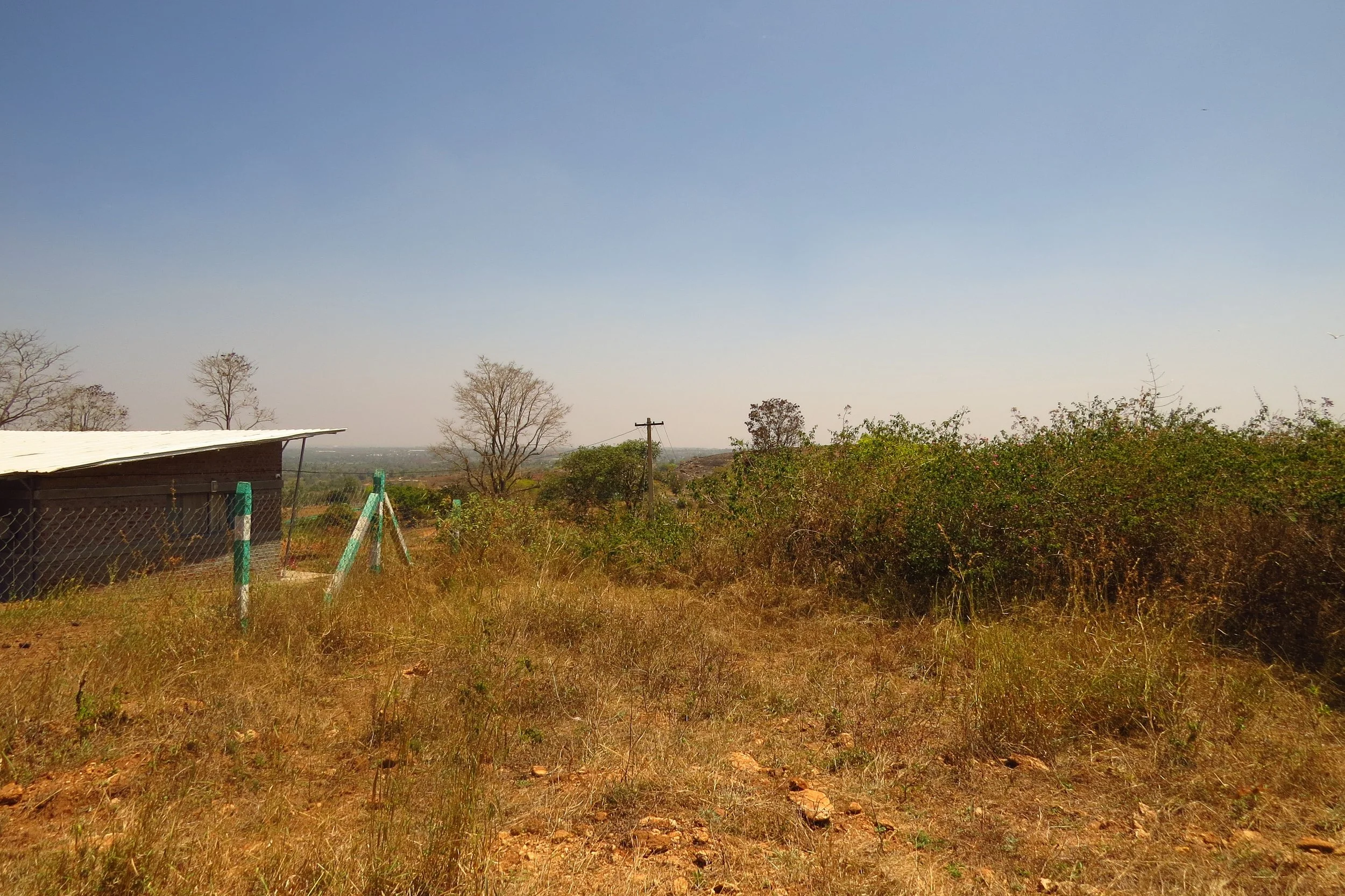Northwestern corner of the land pre-implementation