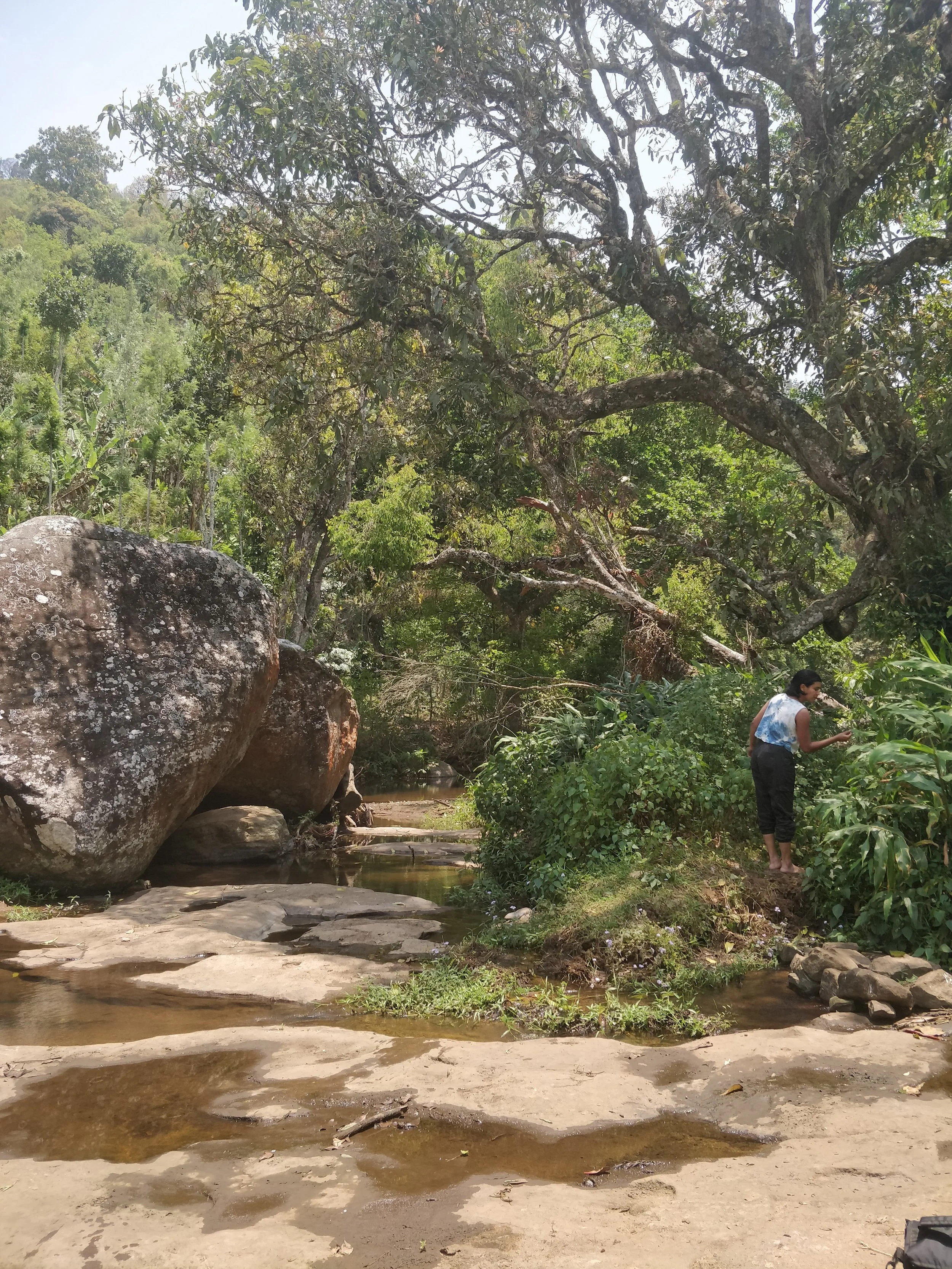 Exploring riparian vegetation