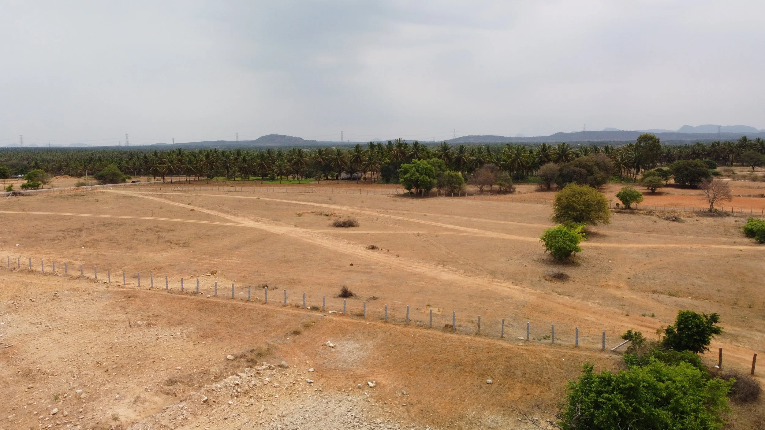 View of site (overgrazed, barren and degraded with some trees) [drone shots by Nikhil Rodrigues]
