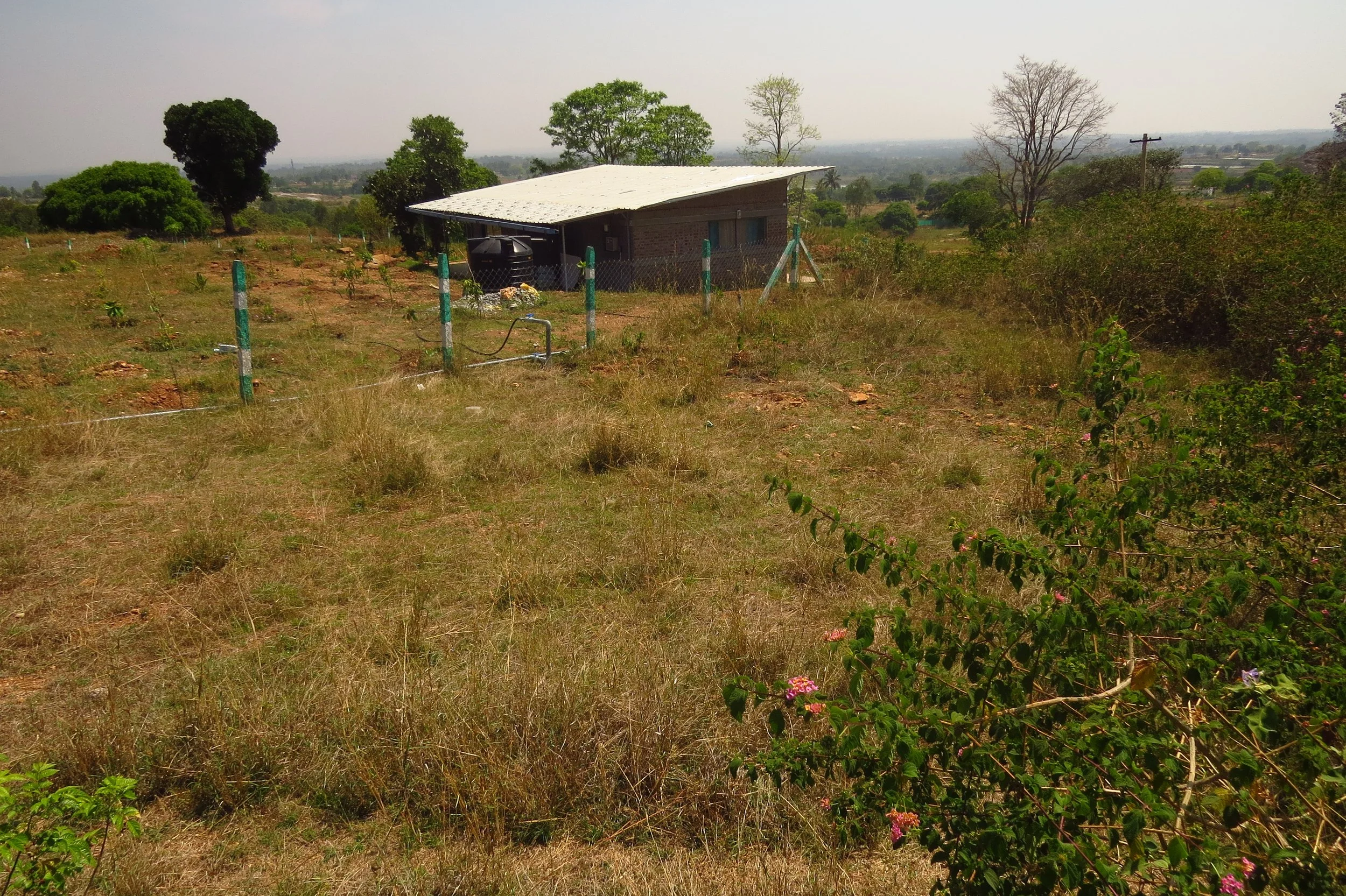 Northwestern corner of the land pre-implementation