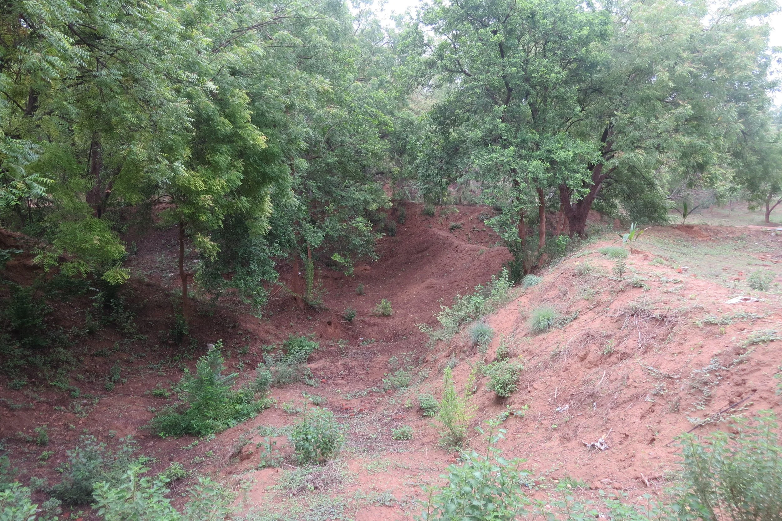 Sandy ravines