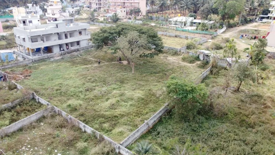 4 - Site